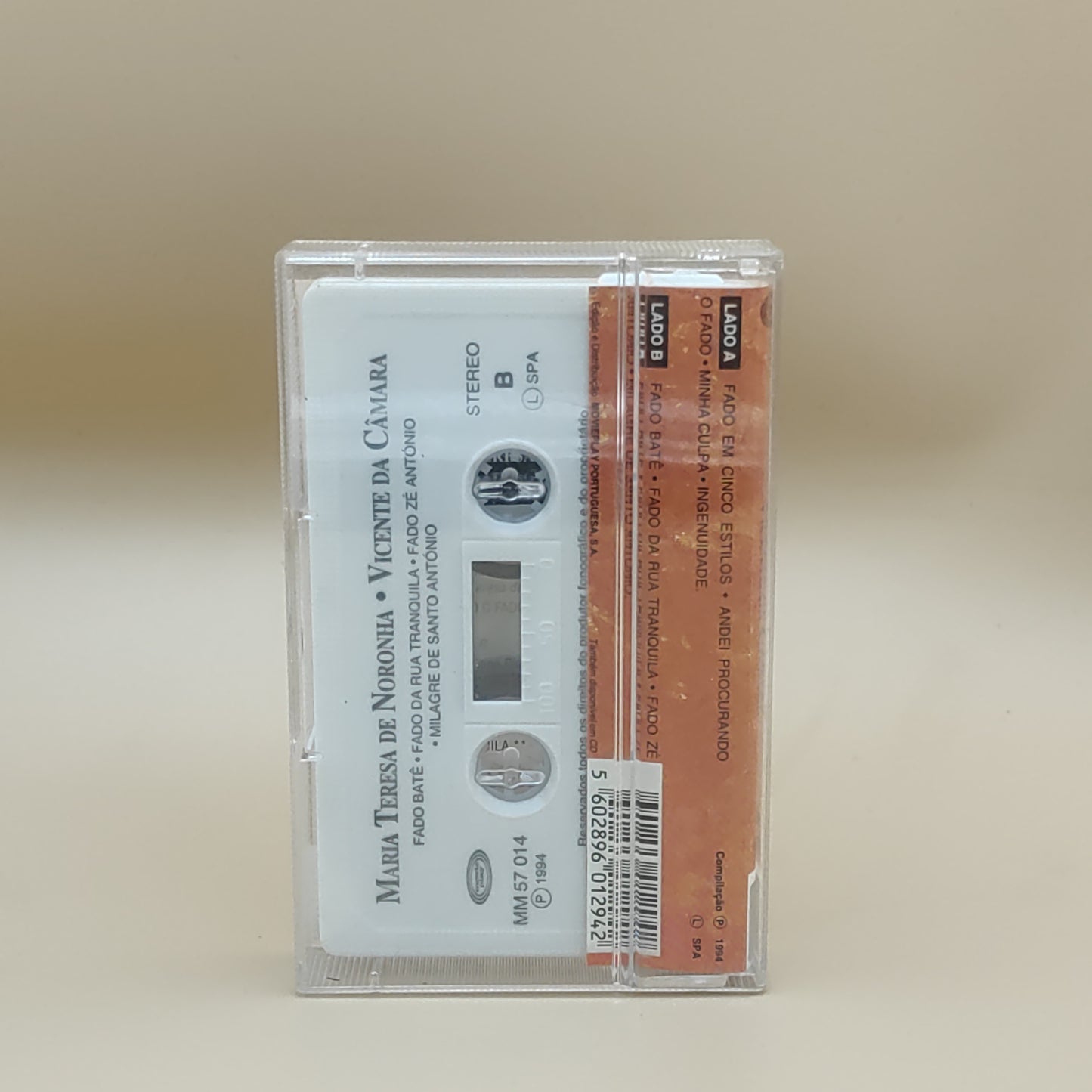 Maria Teresa de Noronha - Vicente da Câmara