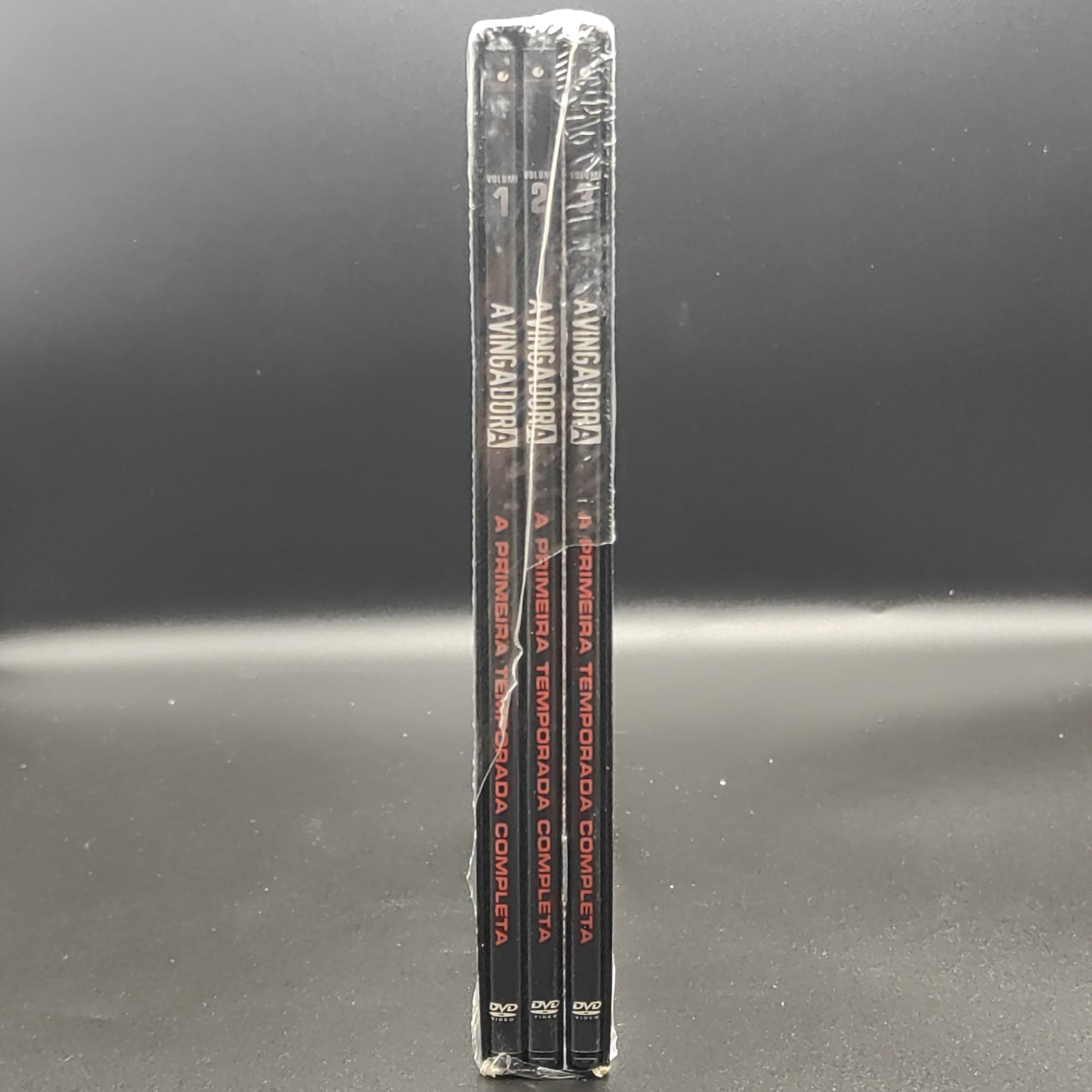 A VINGADORA - a primeira temporada completa