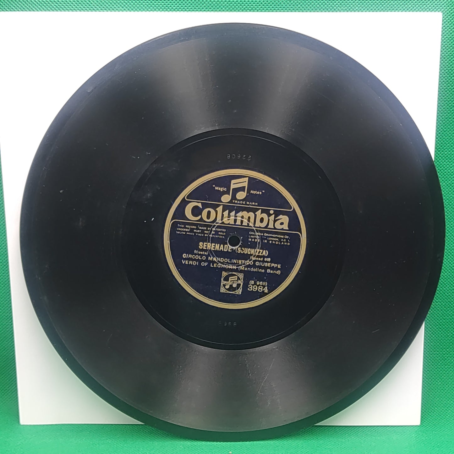 CIRCOLO MANDOLINISTICO GIUSEPPE - VERDI OF LEGHORN (Mandoline band)