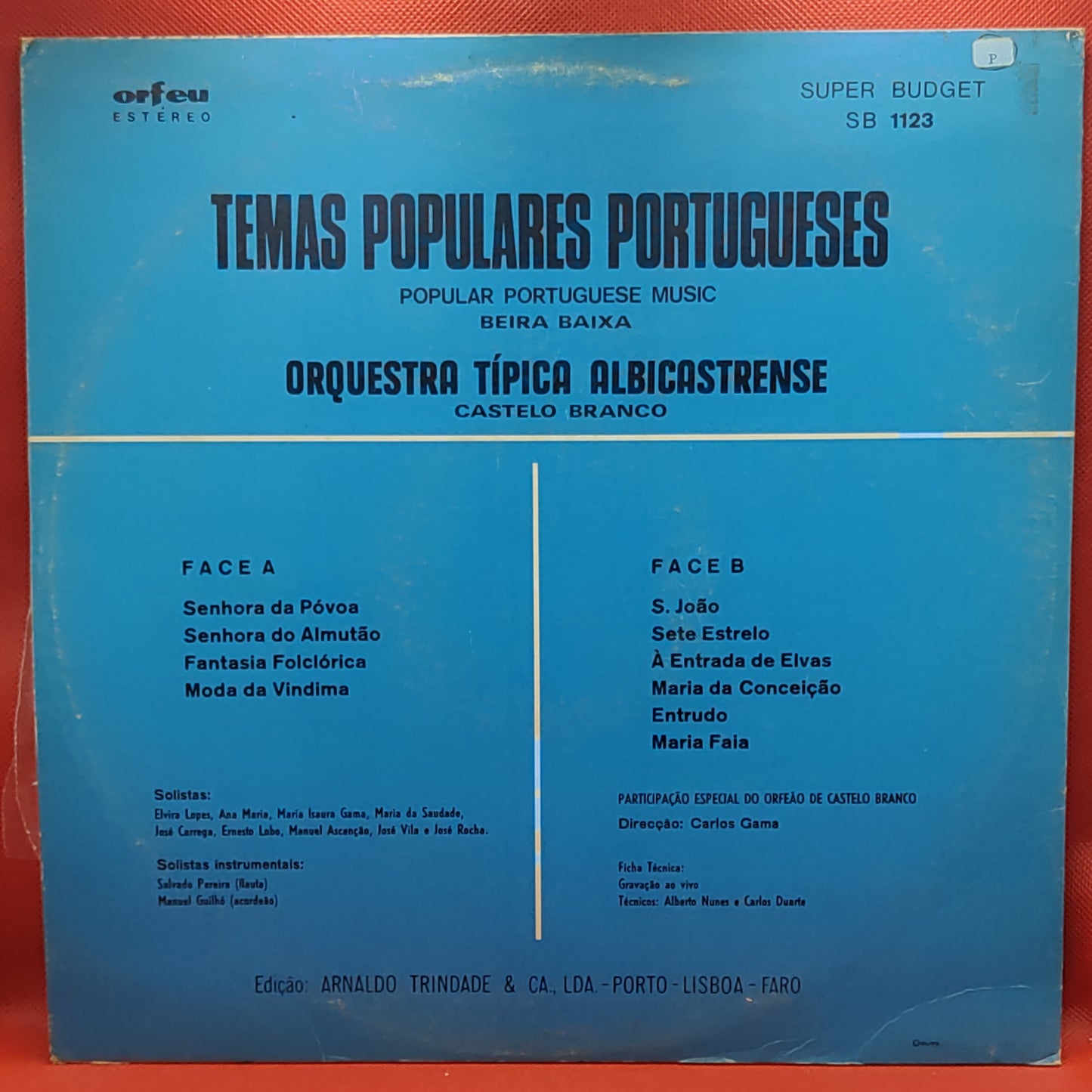 Typisches Albicastrense-Orchester – Beliebte portugiesische Themen (Beira Baixa)