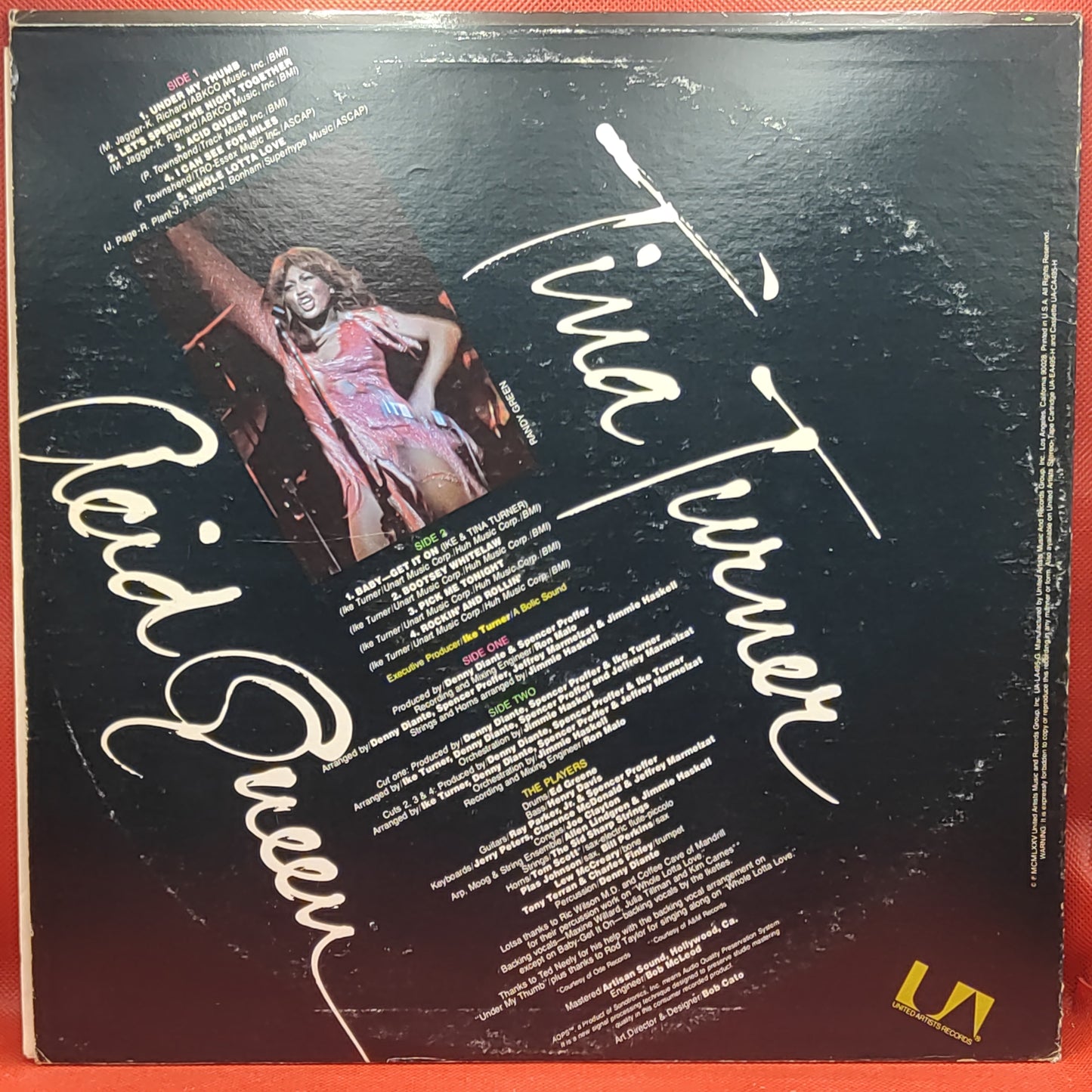 Tina Turner – Säurekönigin