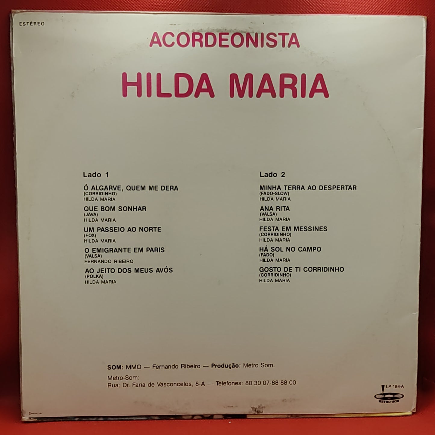 Akkordeonistin – HILDA MARIA