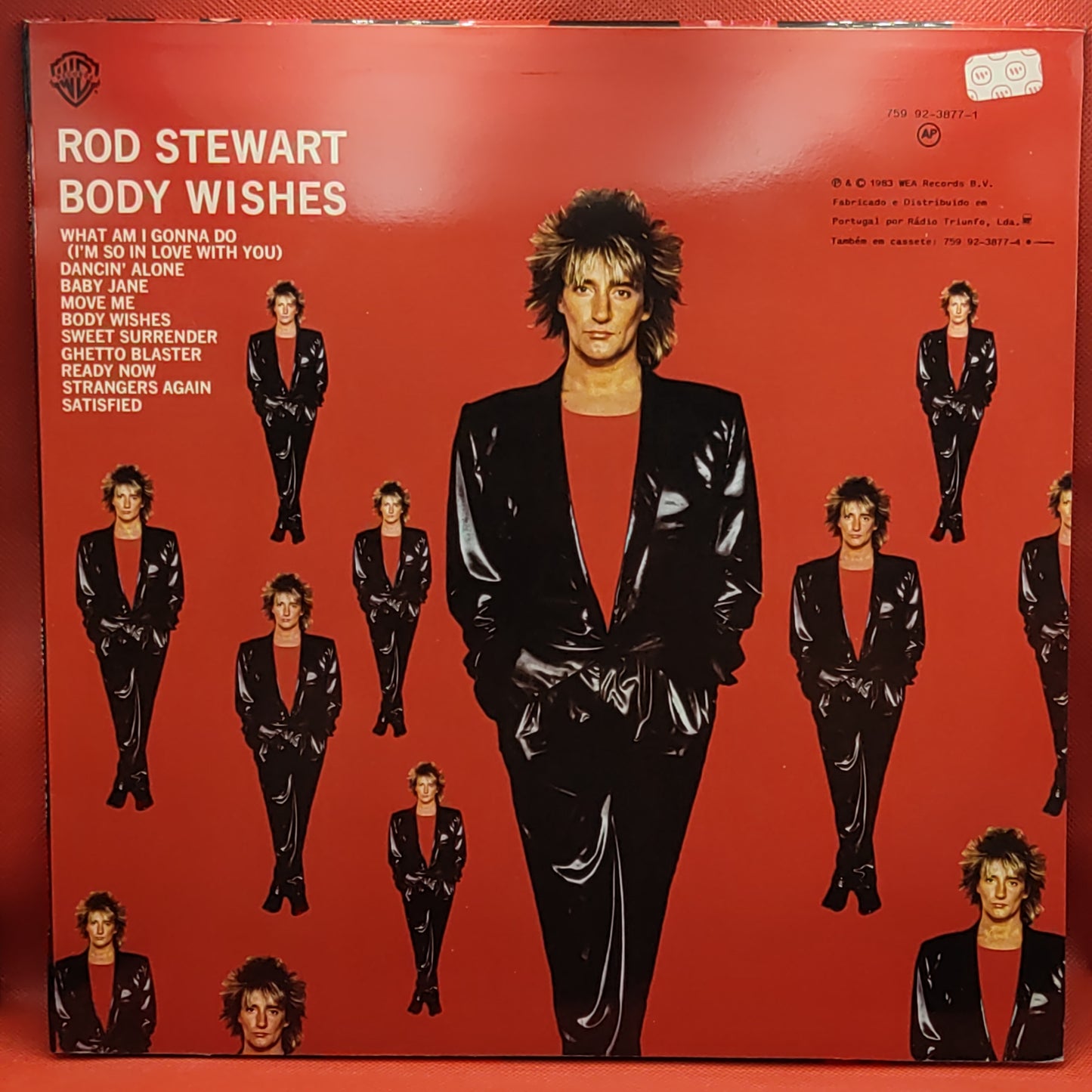 Rod Stewart – Körperwünsche