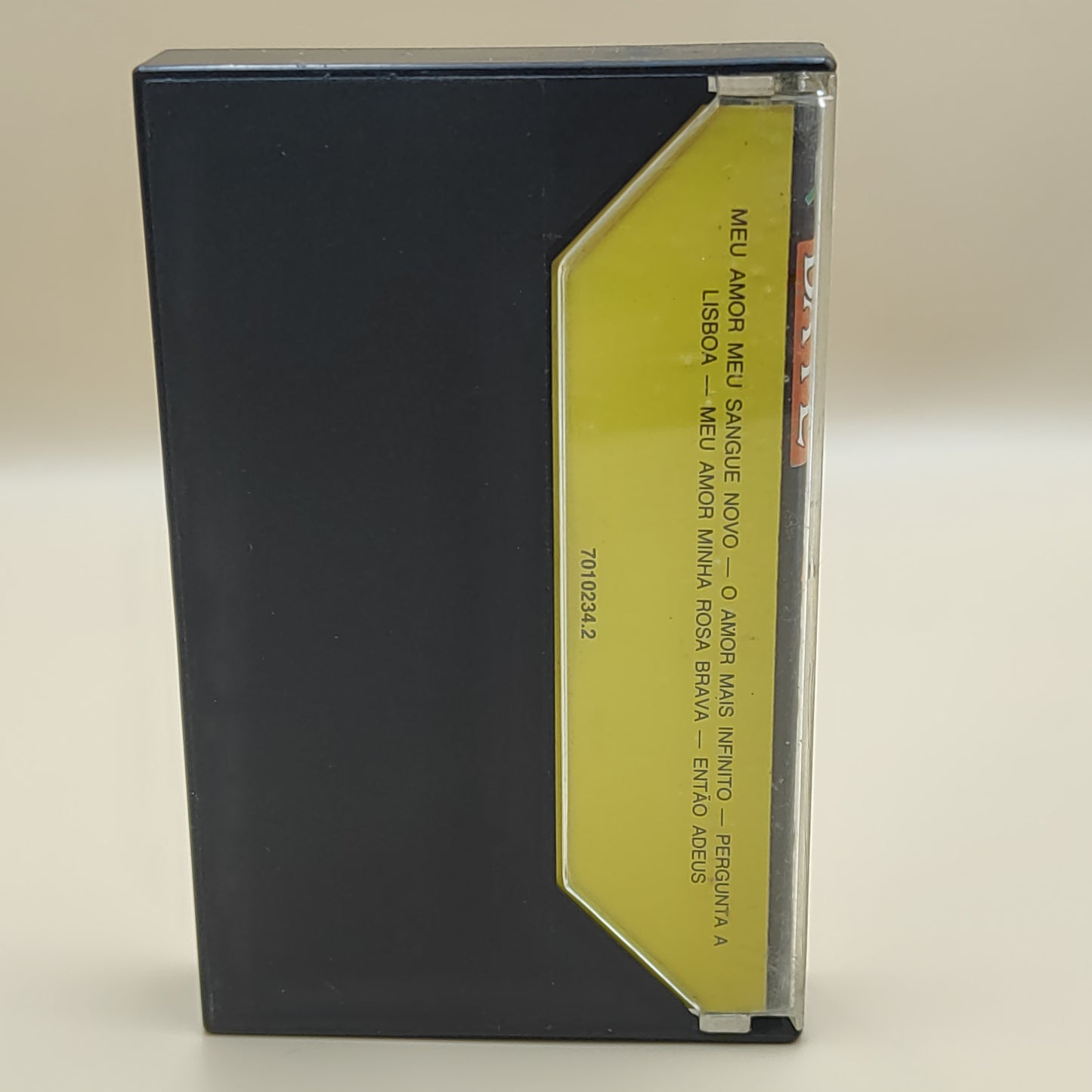 Maria Da Fé - amor da minha voz