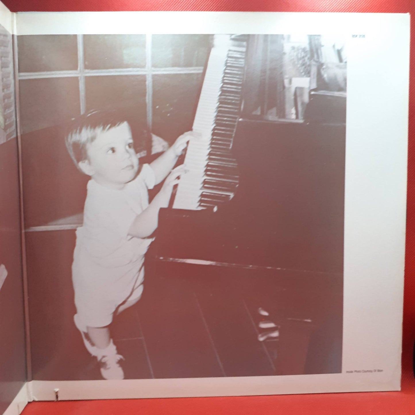 Shaun Cassidy – Born Late
