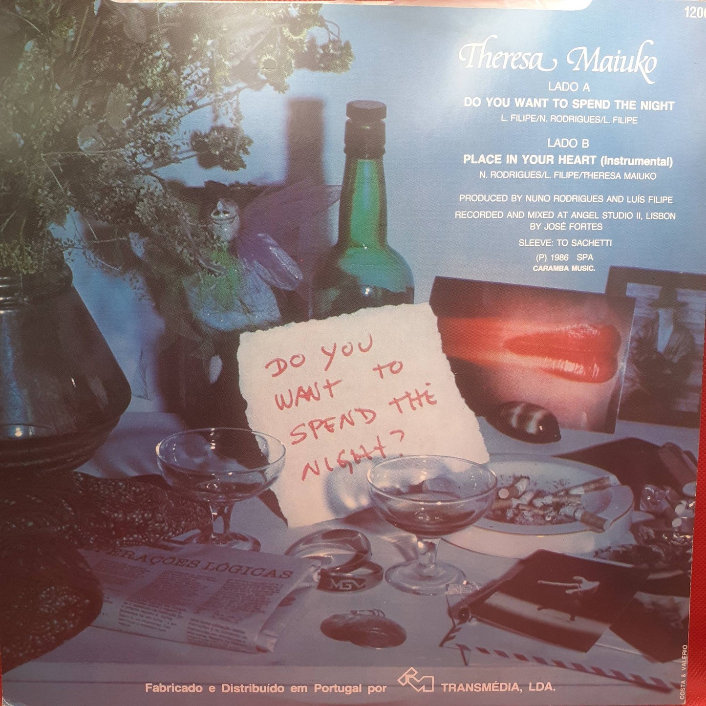 Theresa Maiuko - Do You Want To Spend The Night