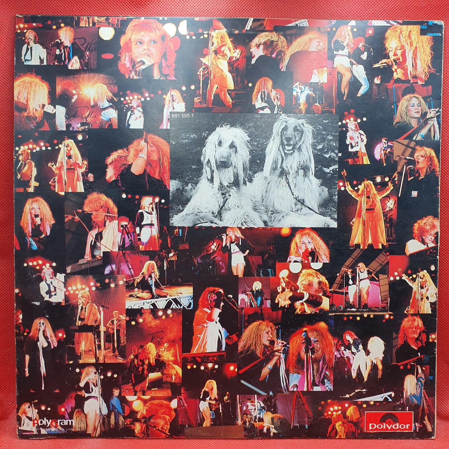 Albert Hammond – Comprenderte