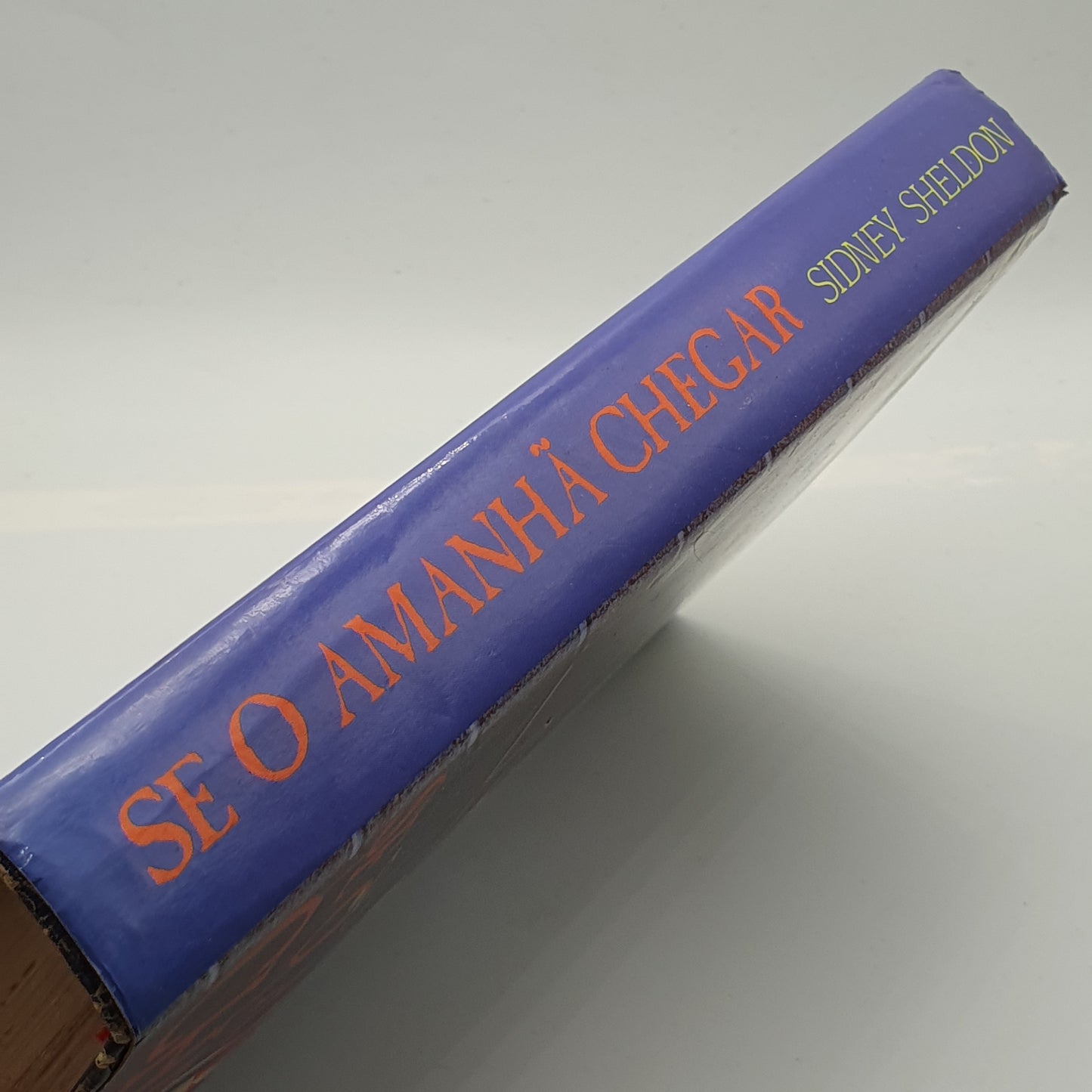 Sydney Sheldon - Se O Amanhâ Chegar