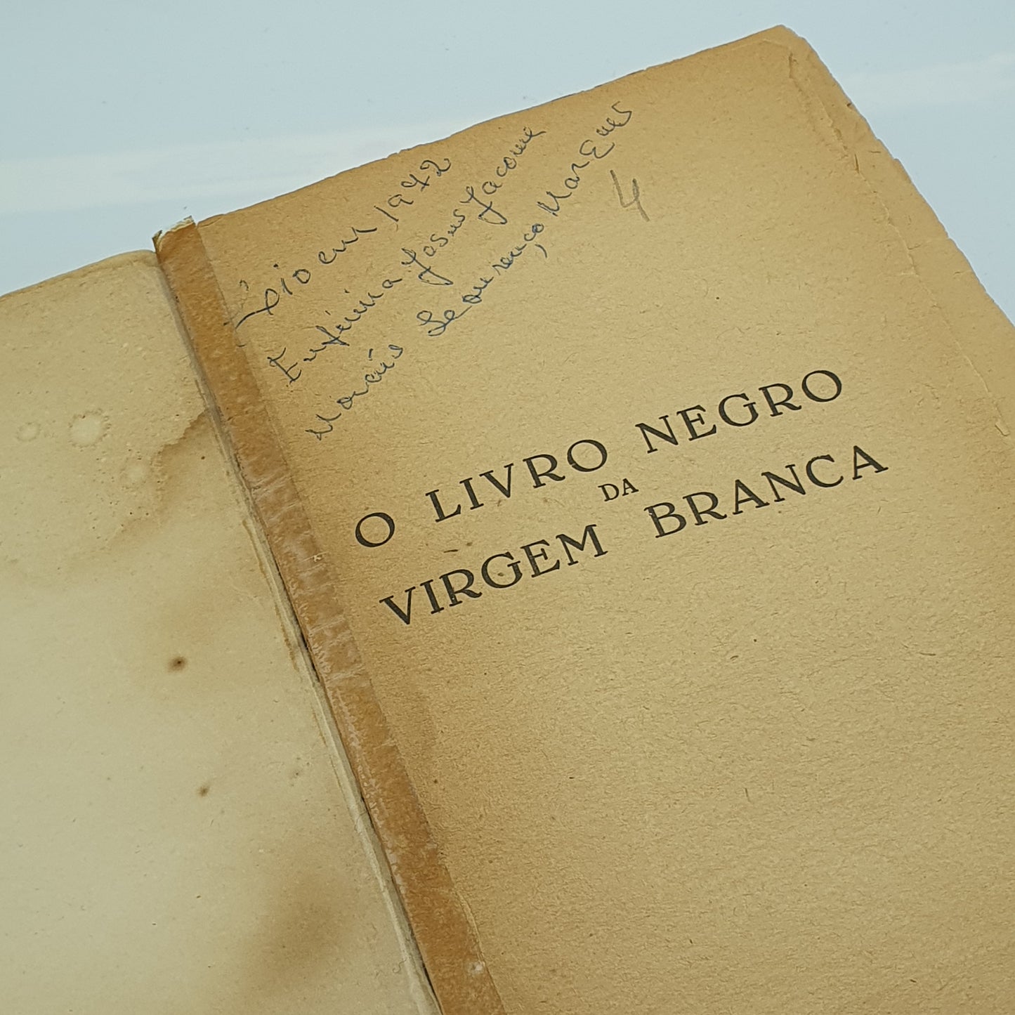 João Amaral Junior - O Livro Negro da Virgem Branca