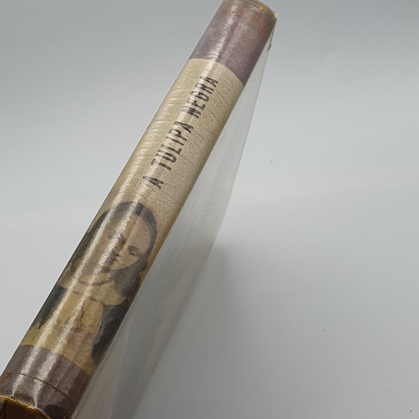 Alexandre Dumas - A Tulipa Negra