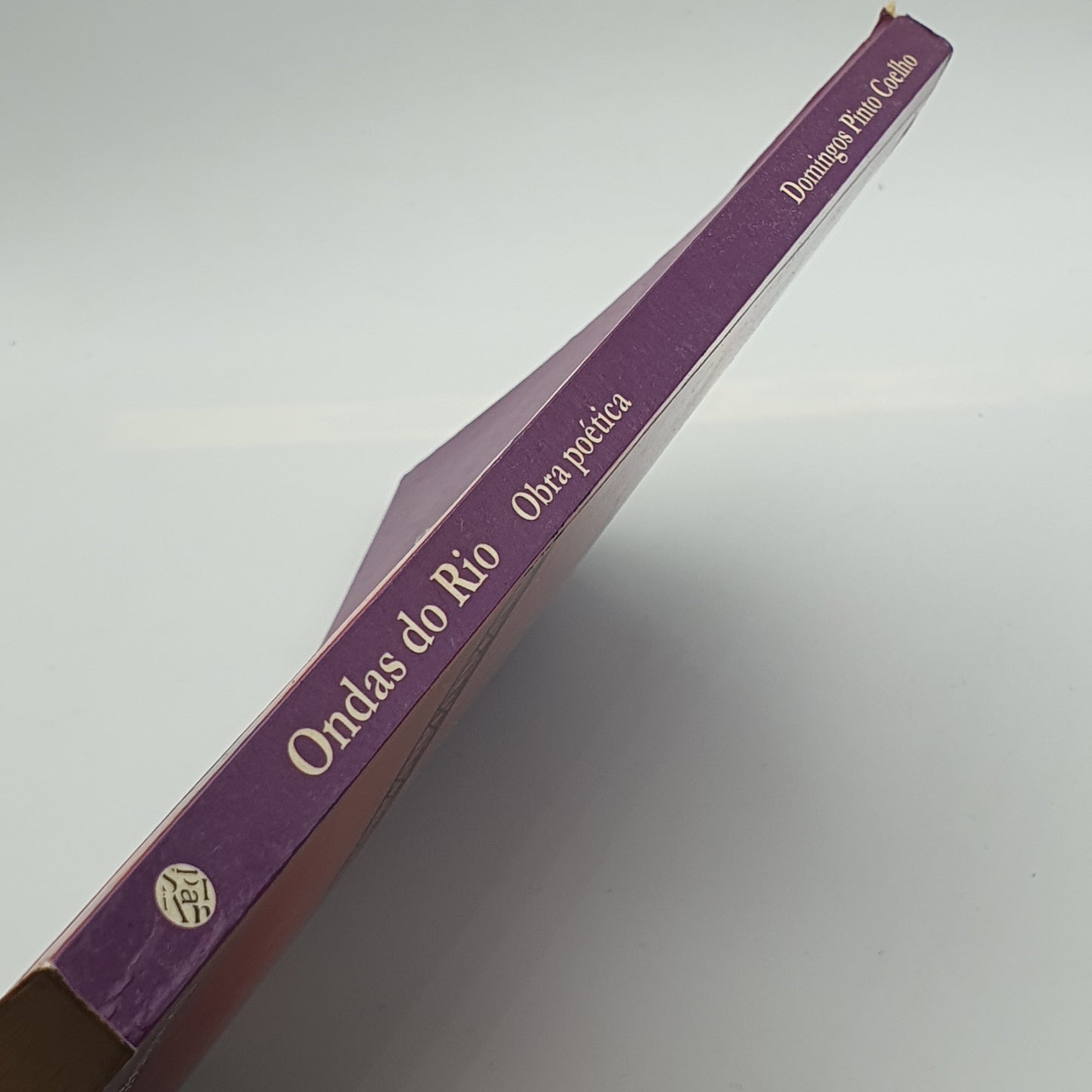 Domingos Pinto Coelho - Ondas do Rio