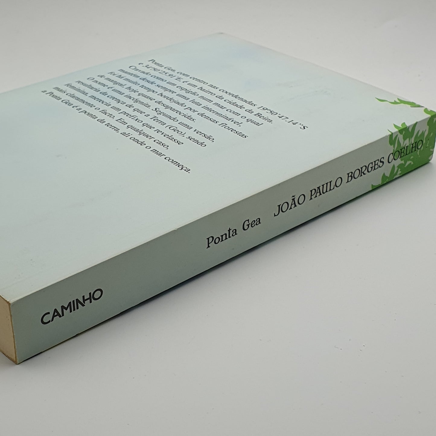 João Paulo Borges Coelho - Ponta Gea