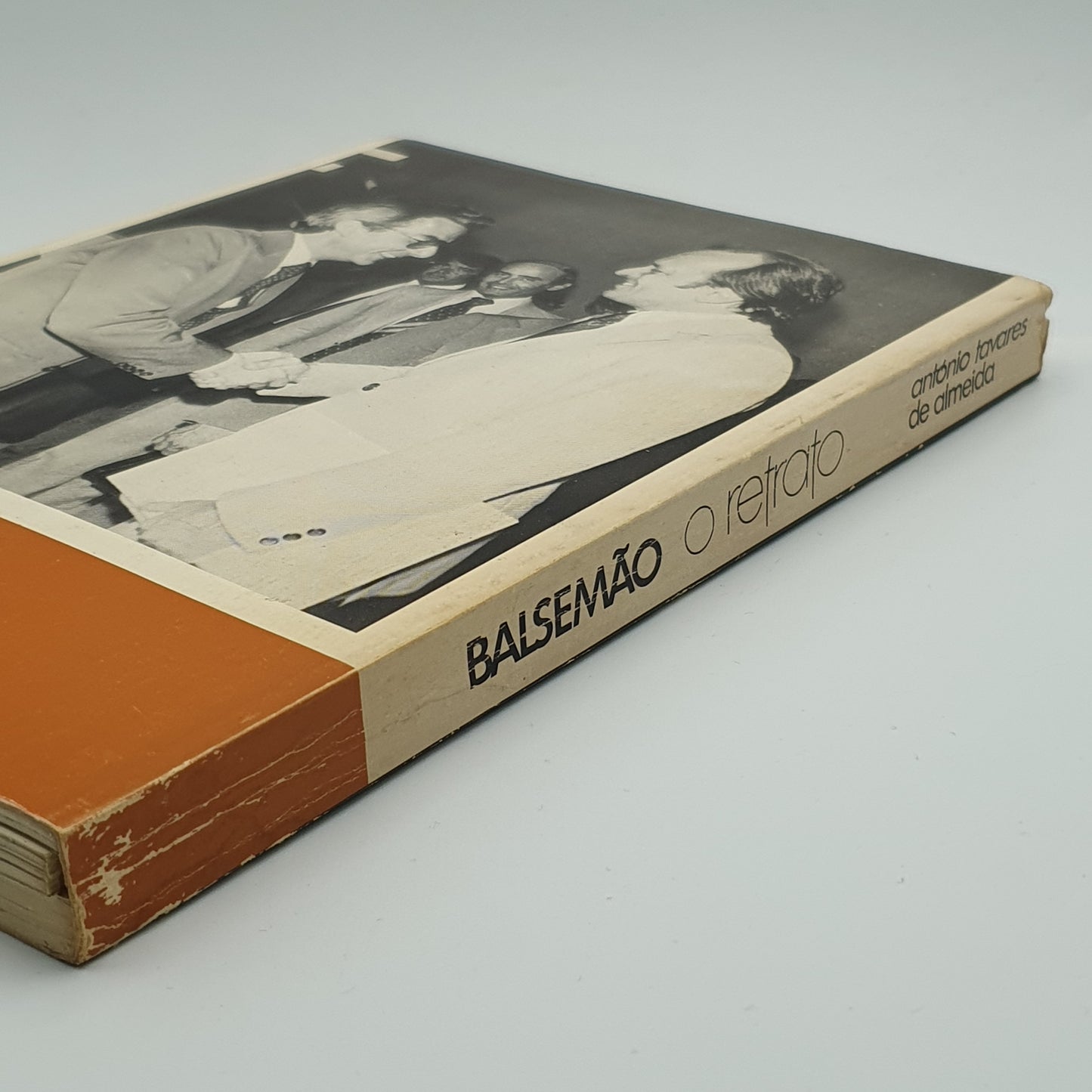 António Tavares de Almeida - Balsemão O Retrato