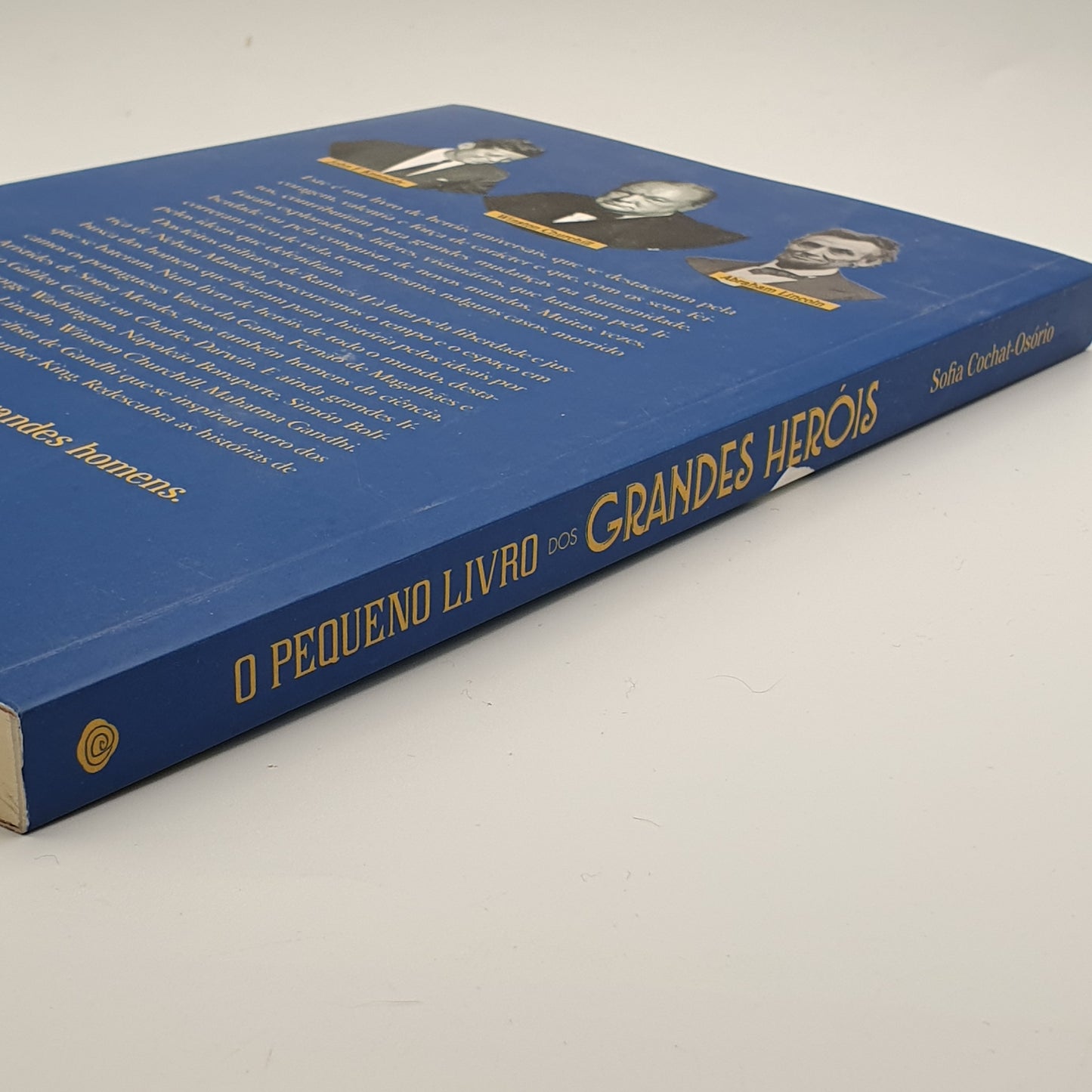 Sofia Cochat Osório - O Pequeno Livro dos Grandes Herois