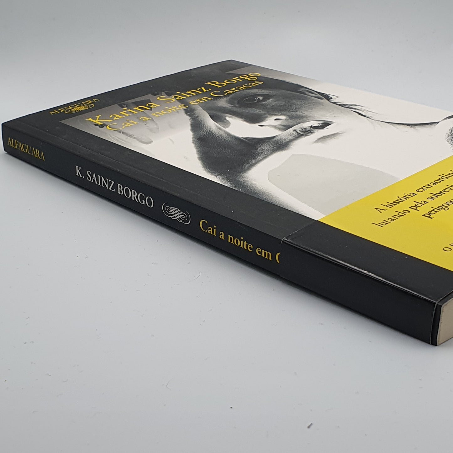 Karina Sainz Borgo - Cai a Noite Em Caracas