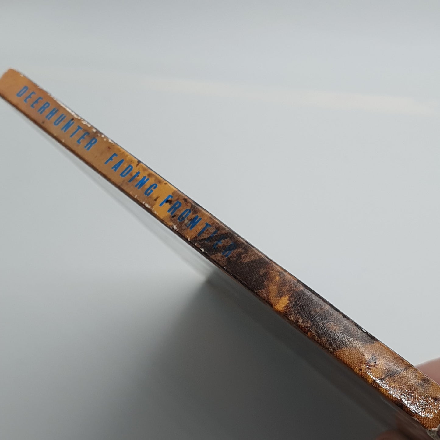 Deerhunter – Fading Frontier