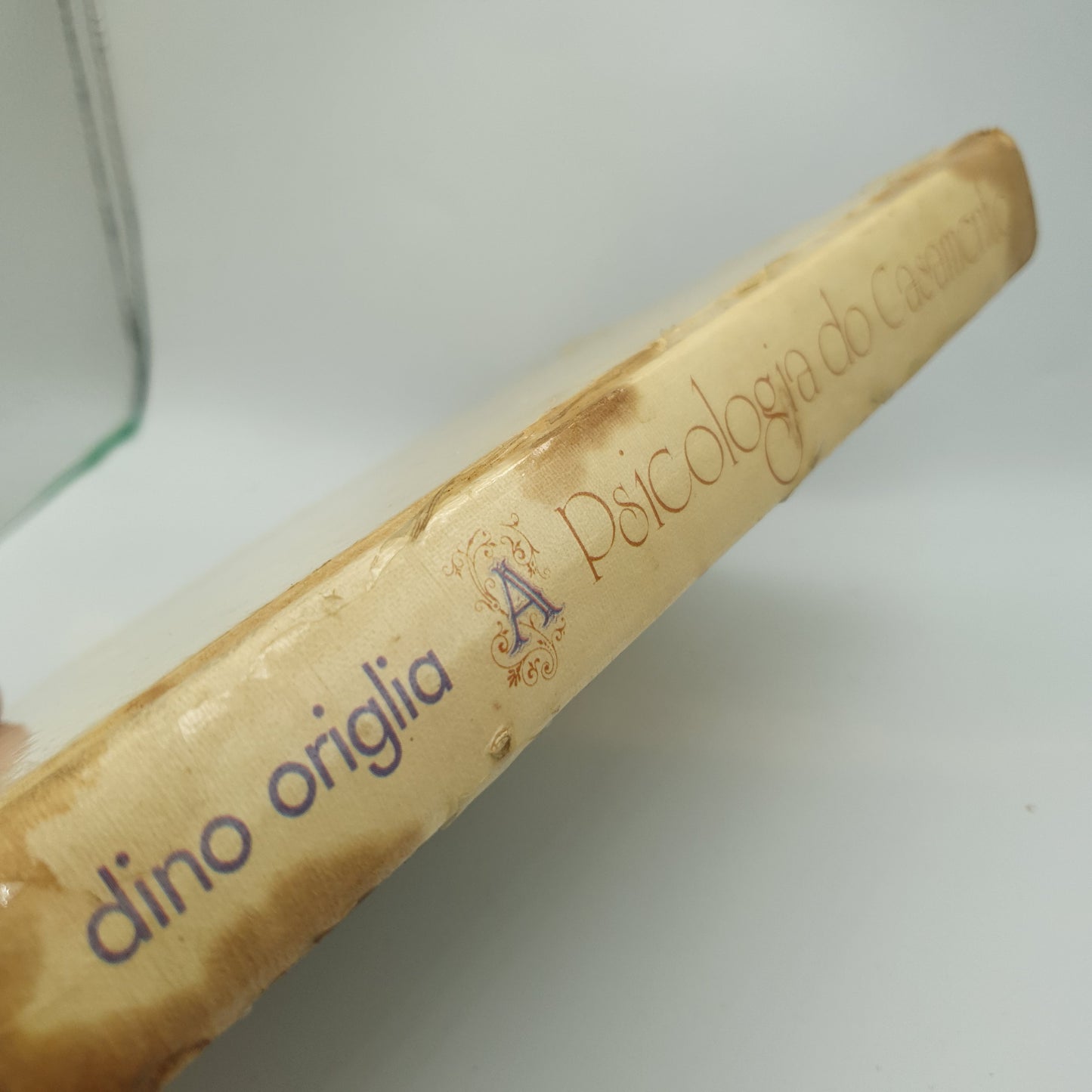 Dino Origlia - A Psicologia do Casamento