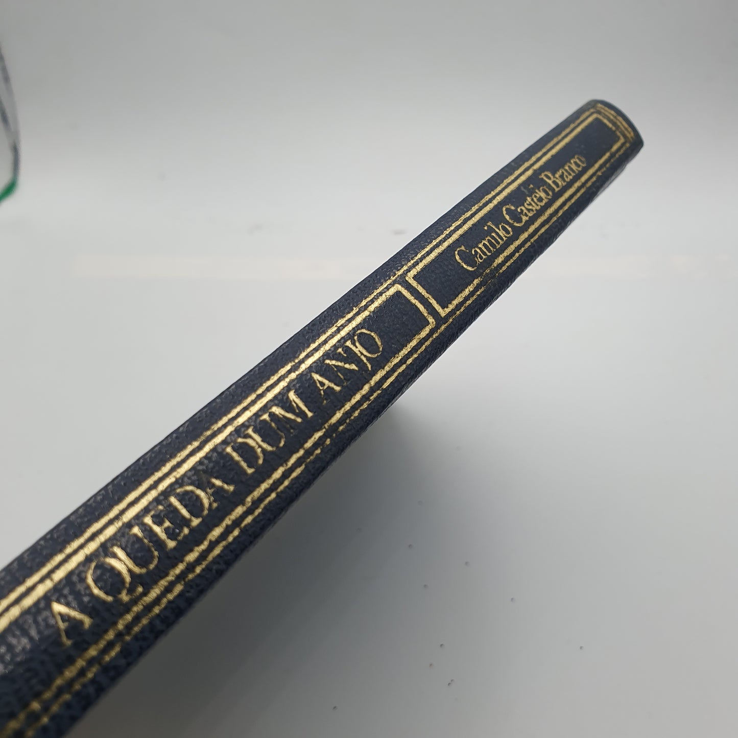 Camilo Castelo Branco - A Queda de Um Anjo