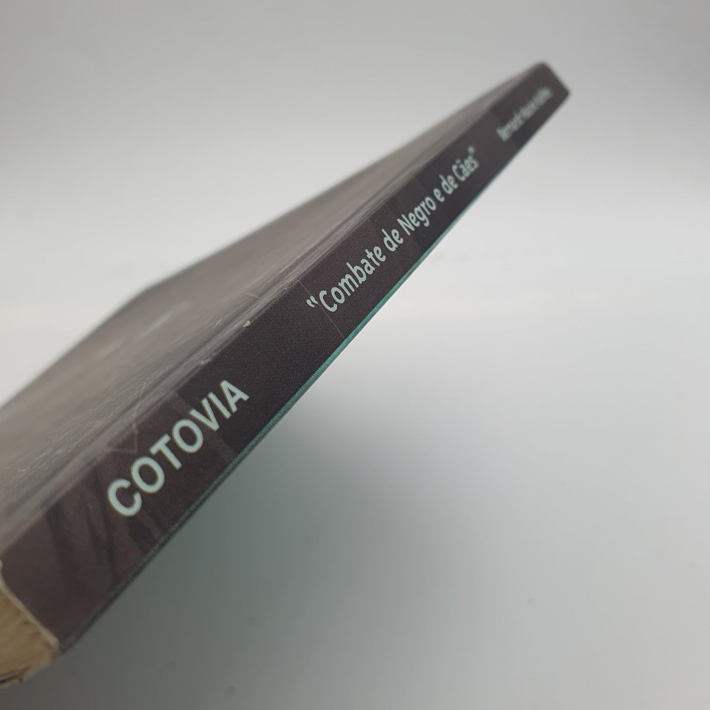 Bernard Marie Koltes - Combate de Negro e de Cães