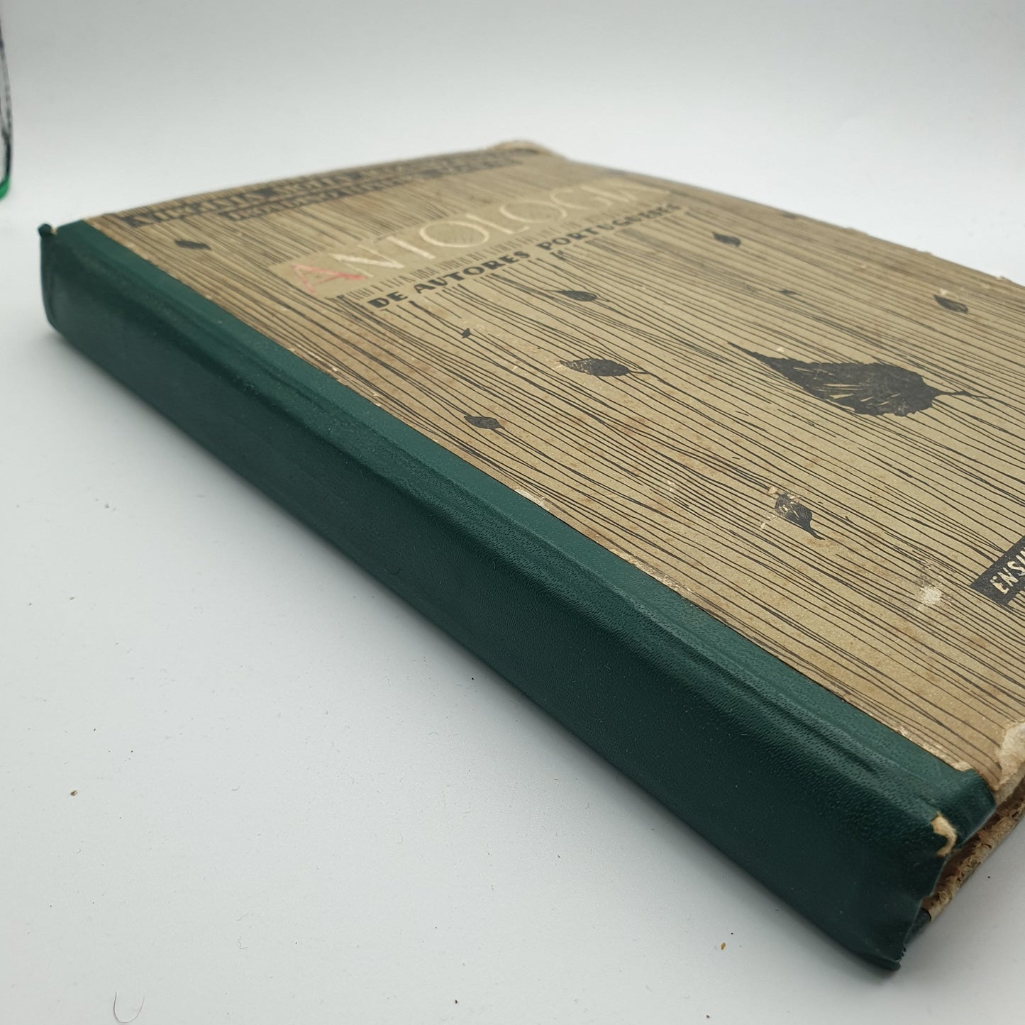 Virginia Motta - Antologia de Autores Portugueses