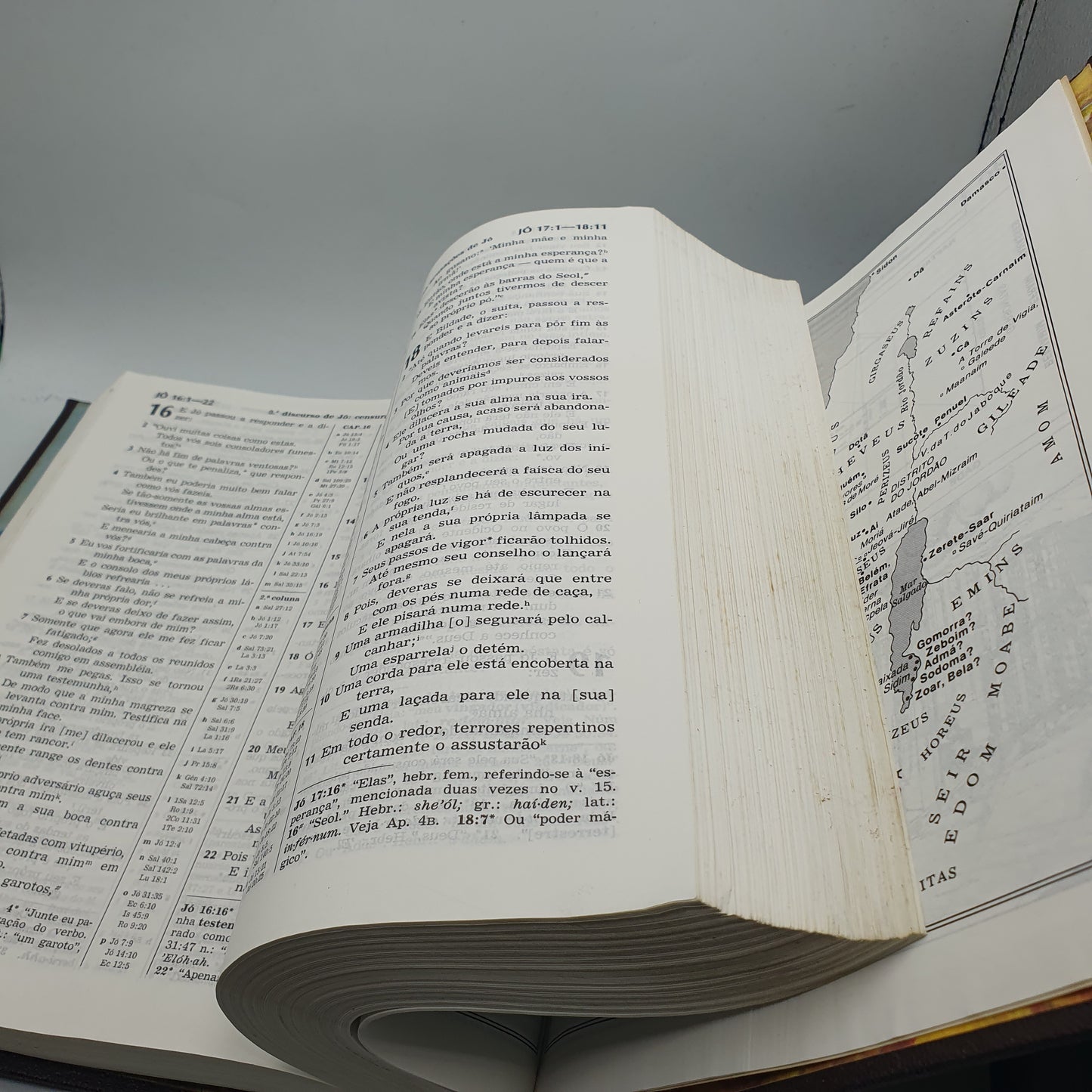 Tradução do Novo Mundo das Escrituras Sagradas