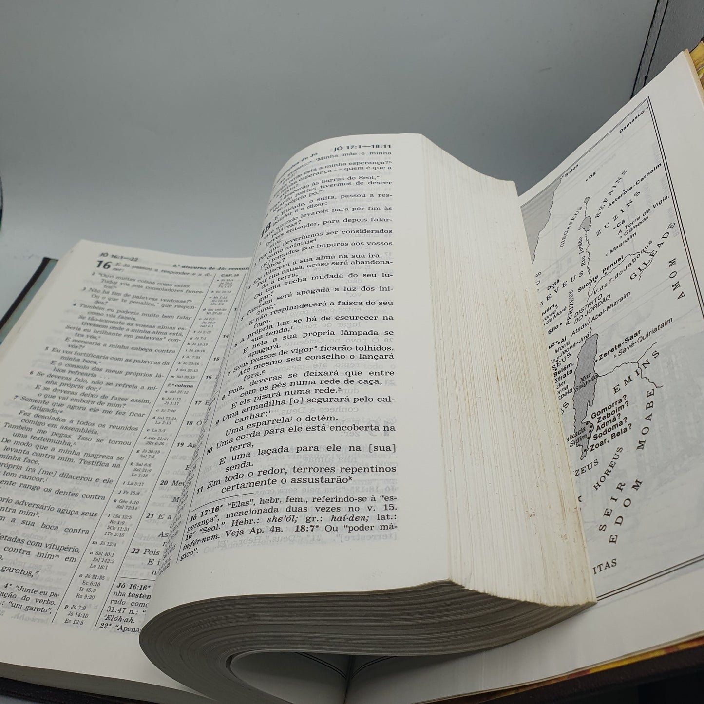 Tradução do Novo Mundo das Escrituras Sagradas