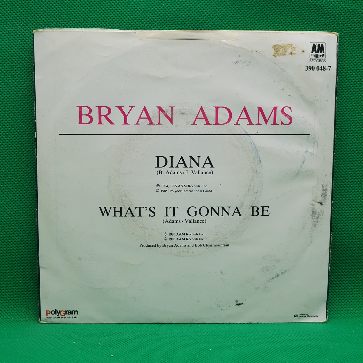 Bryan Adams – Diana