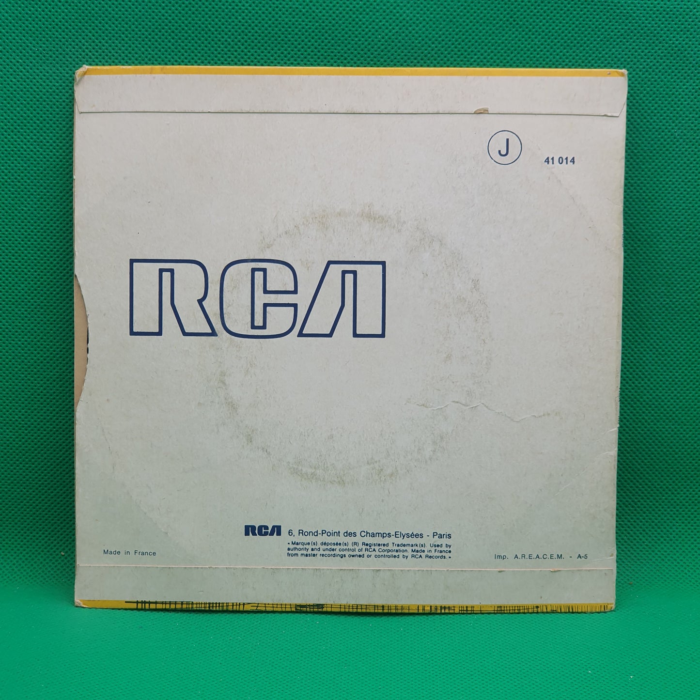 Barrabas – Wild Safari