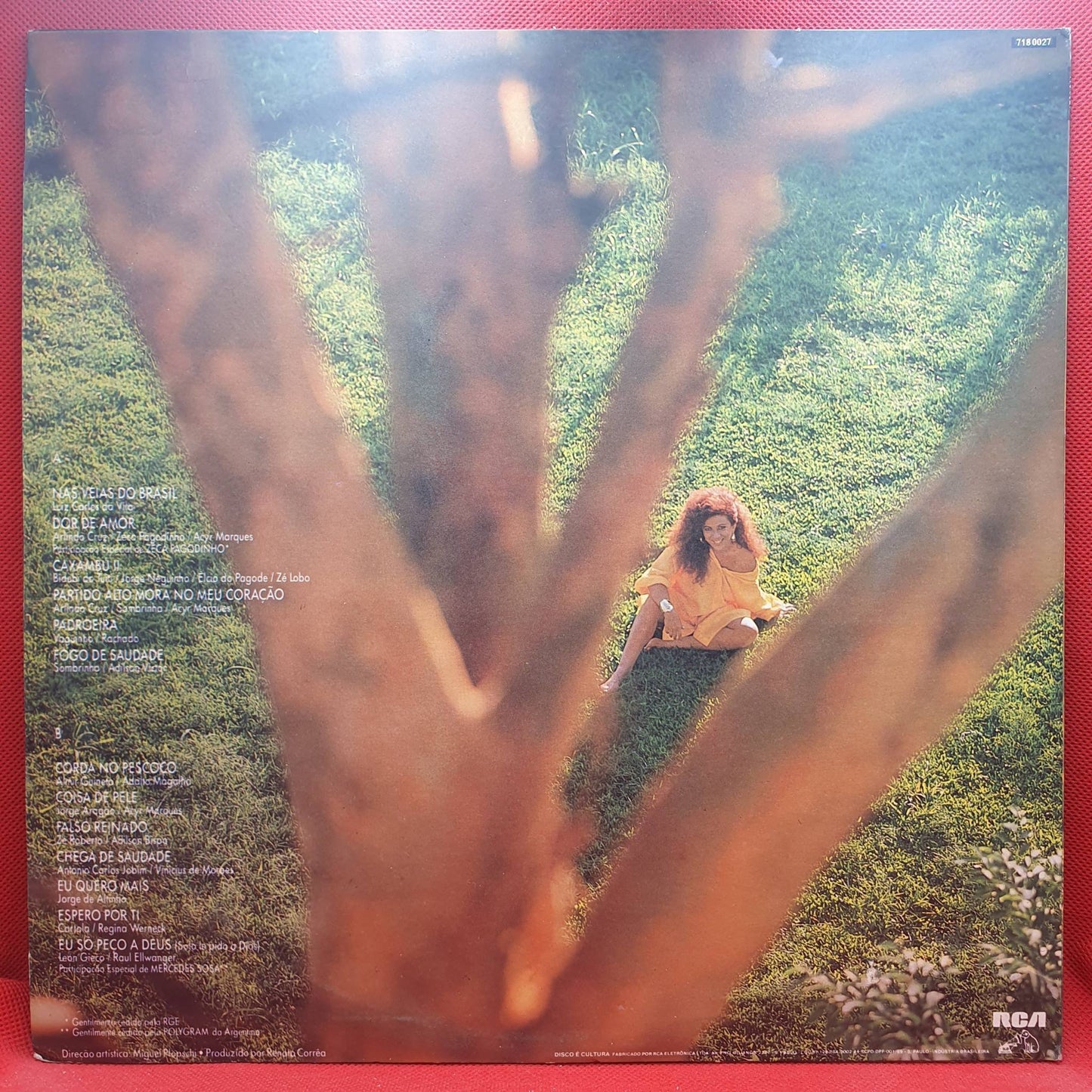 Beth Carvalho – Beth