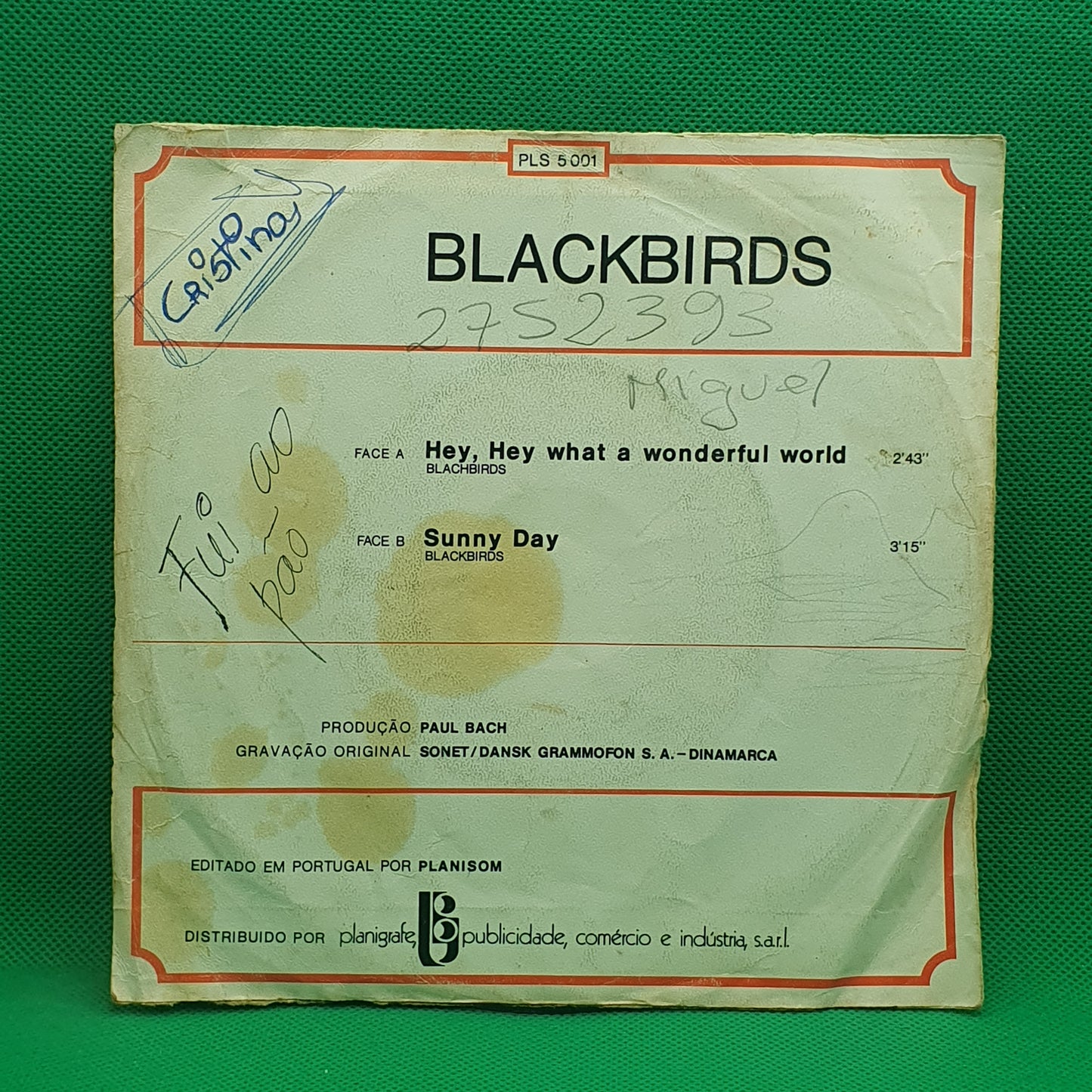 Blackbirds – Hey, Hey, What A Wonderful World