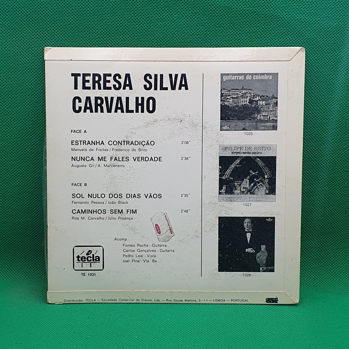 Teresa Silva Carvalho – Sol Nulo Dos Dias Vãos
