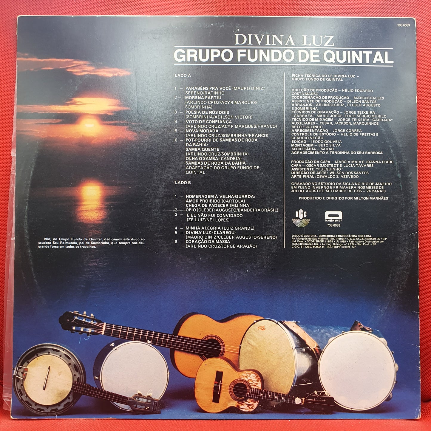 Fundo de Quintal – Divina Luz