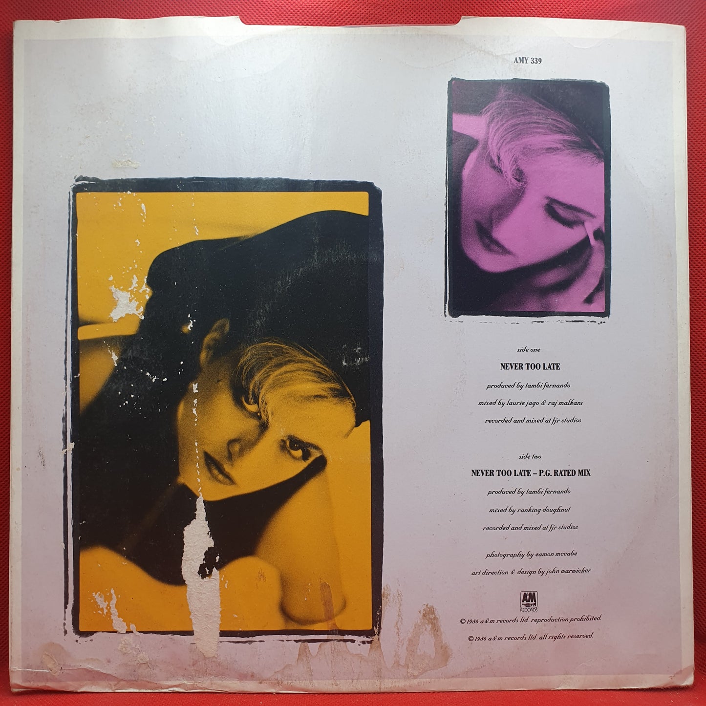 Dorothy Galdez – Never Too Late