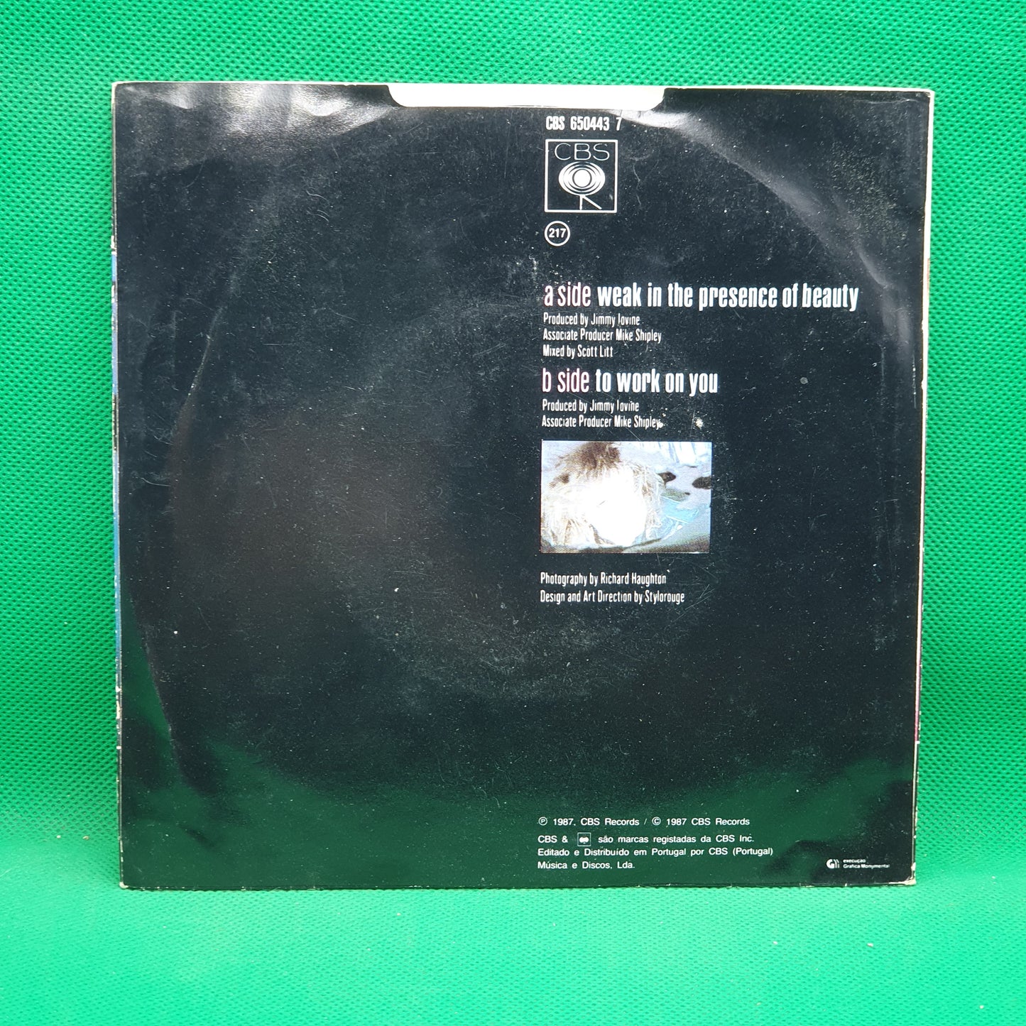 Alison Moyet – Weak In The Presence Of Beauty