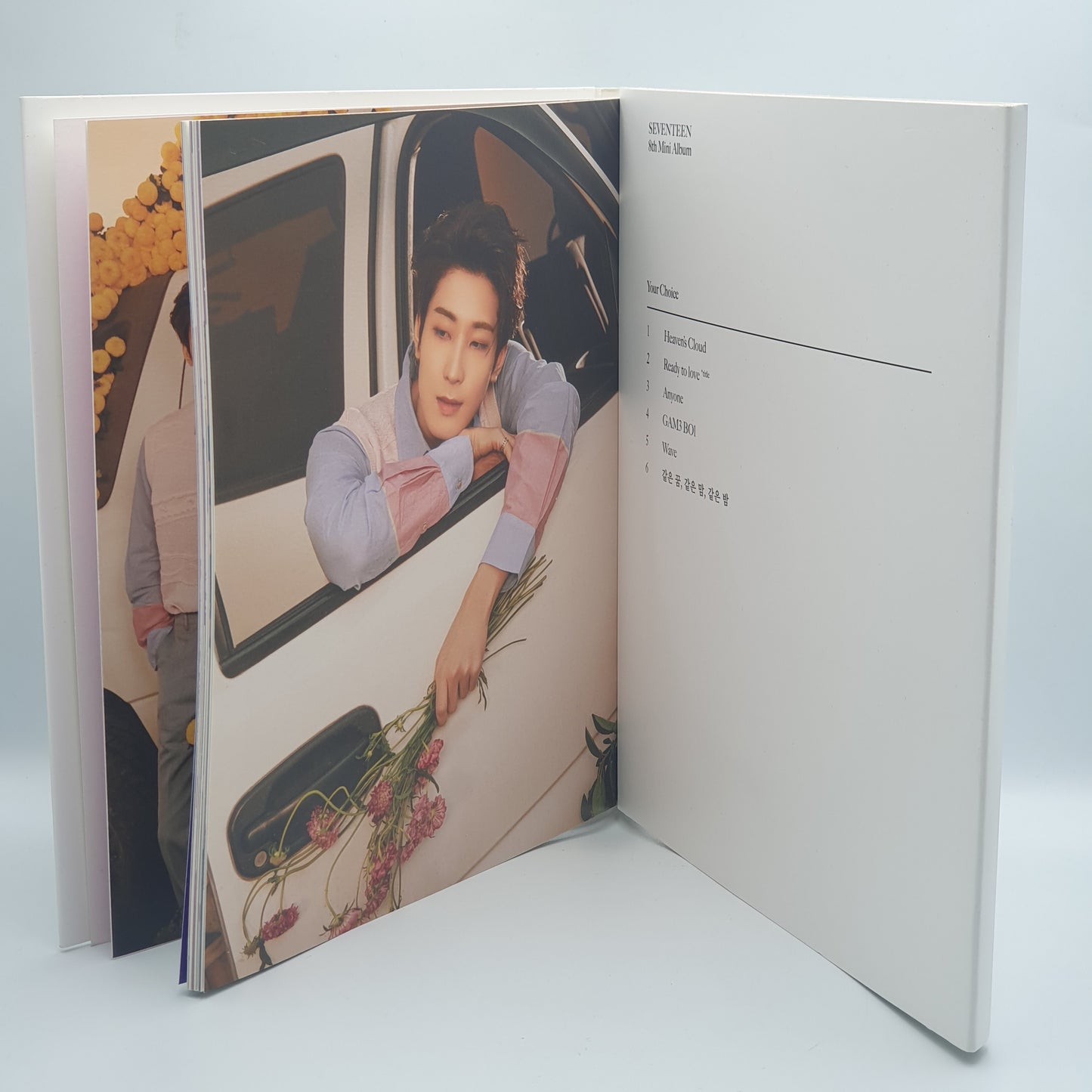 Seventeen – Your Choice