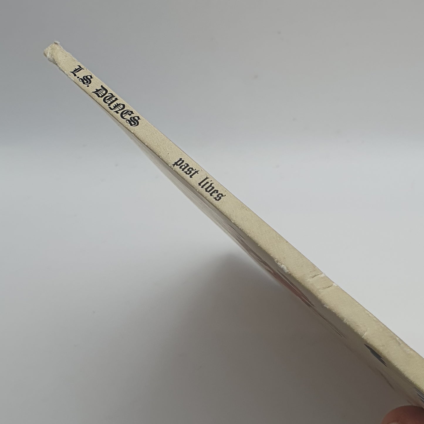 L.S. Dunes – Past Lives