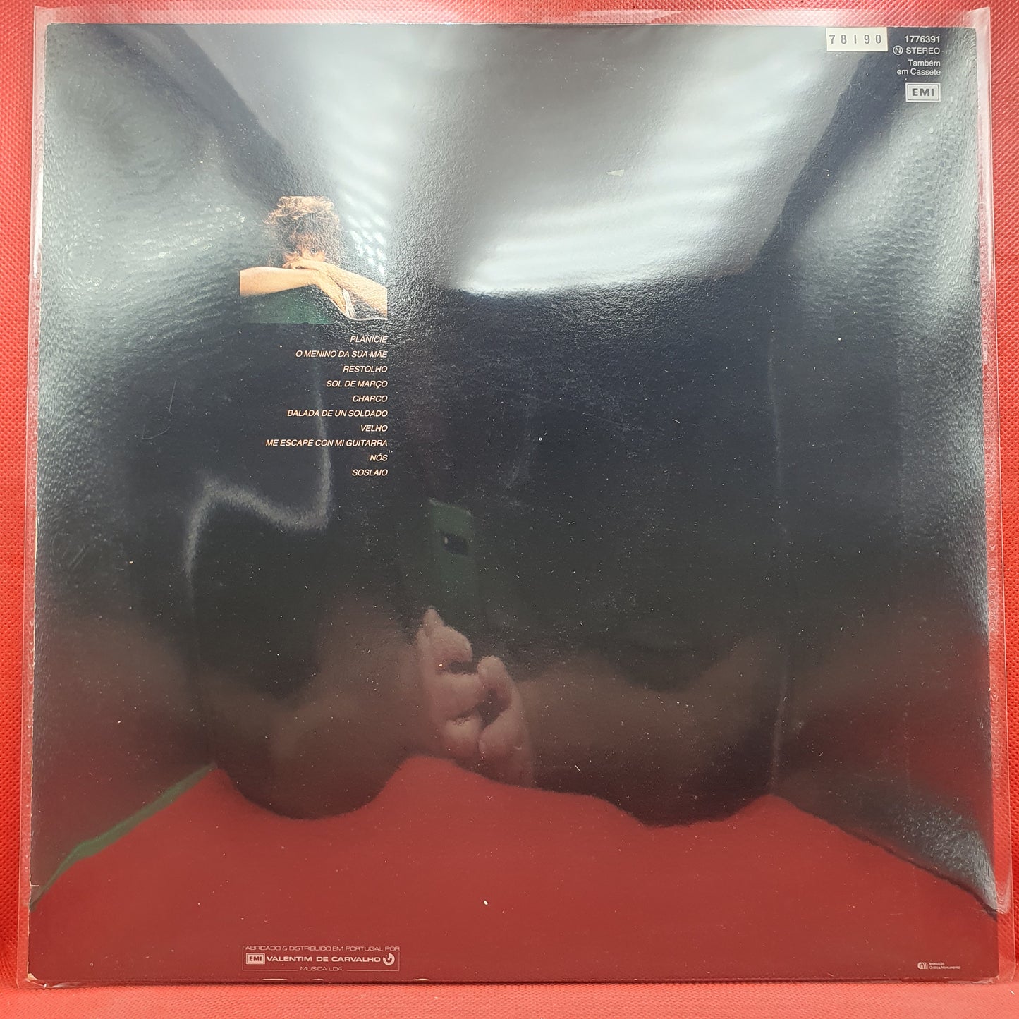 Mafalda Veiga – Pássaros Do Sul