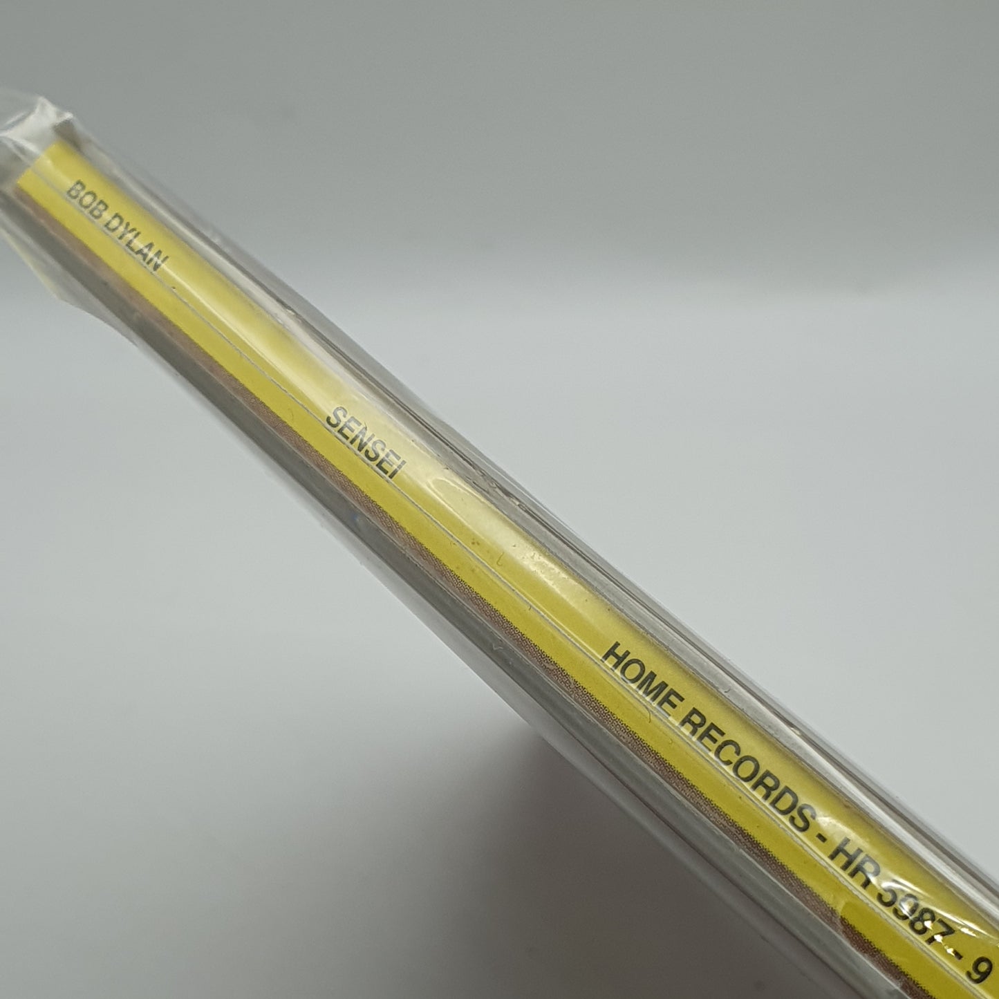 Bob Dylan – Sensei