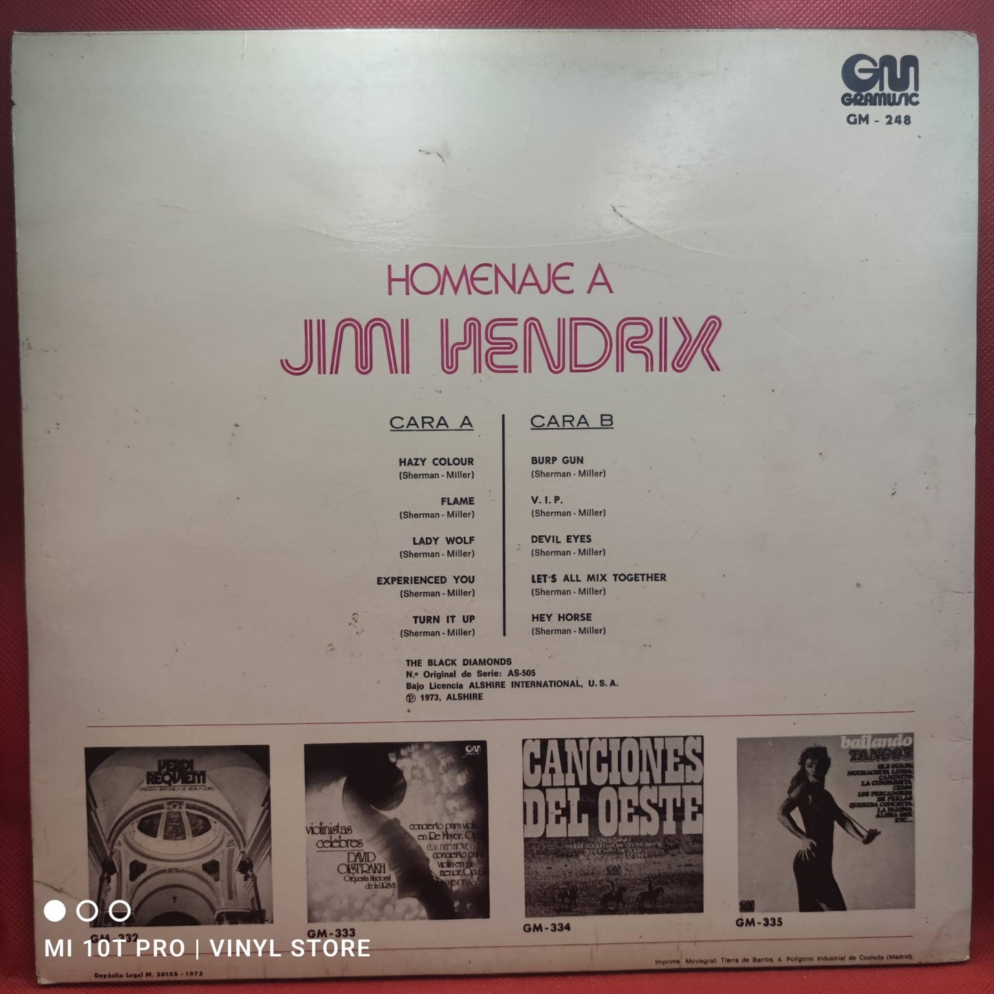 The Black Diamonds – Homenaje A Jimi Hendrix