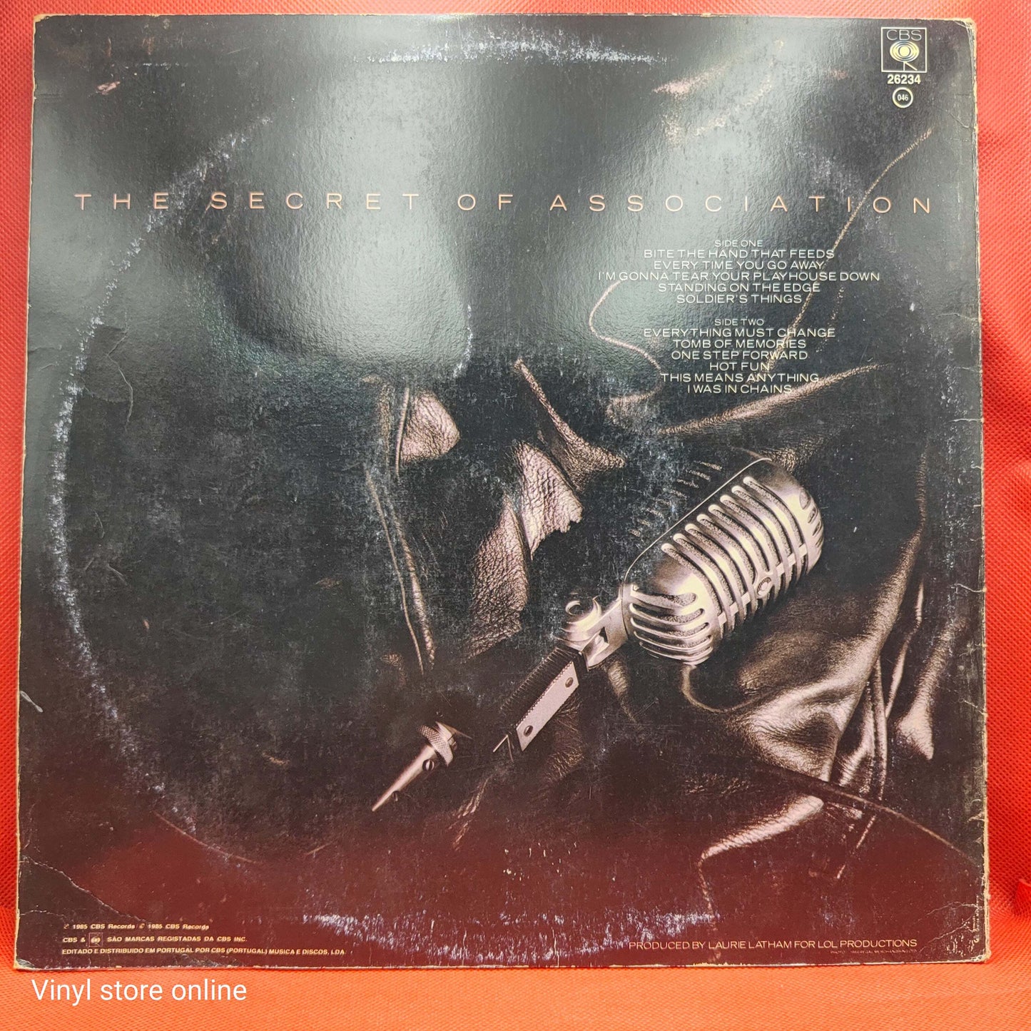 Paul Young – The Secret Of Association