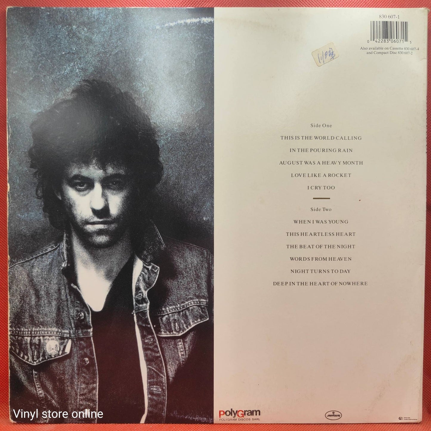 Bob Geldof – Deep In The Heart Of Nowhere