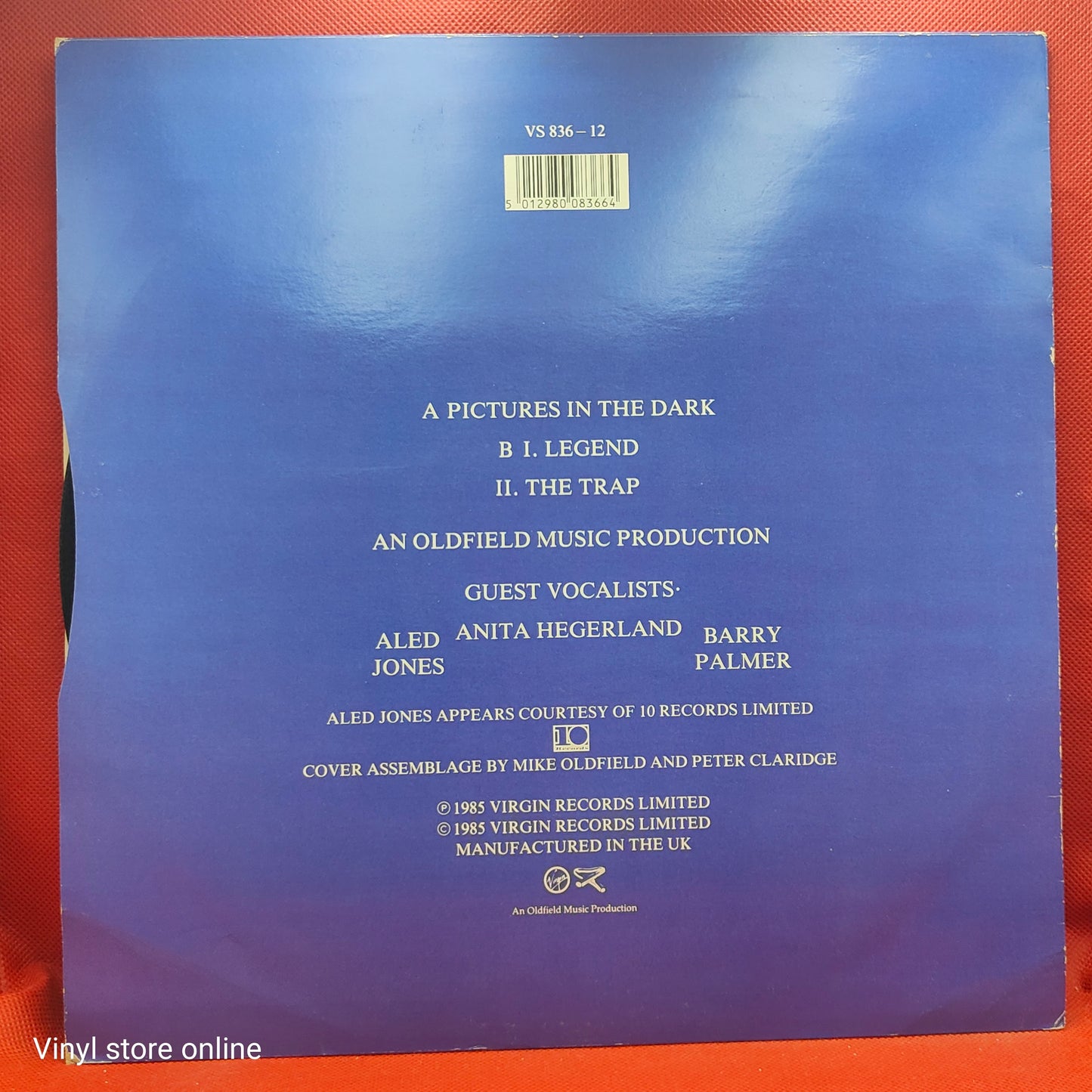 Mike Oldfield – Pictures In The Dark