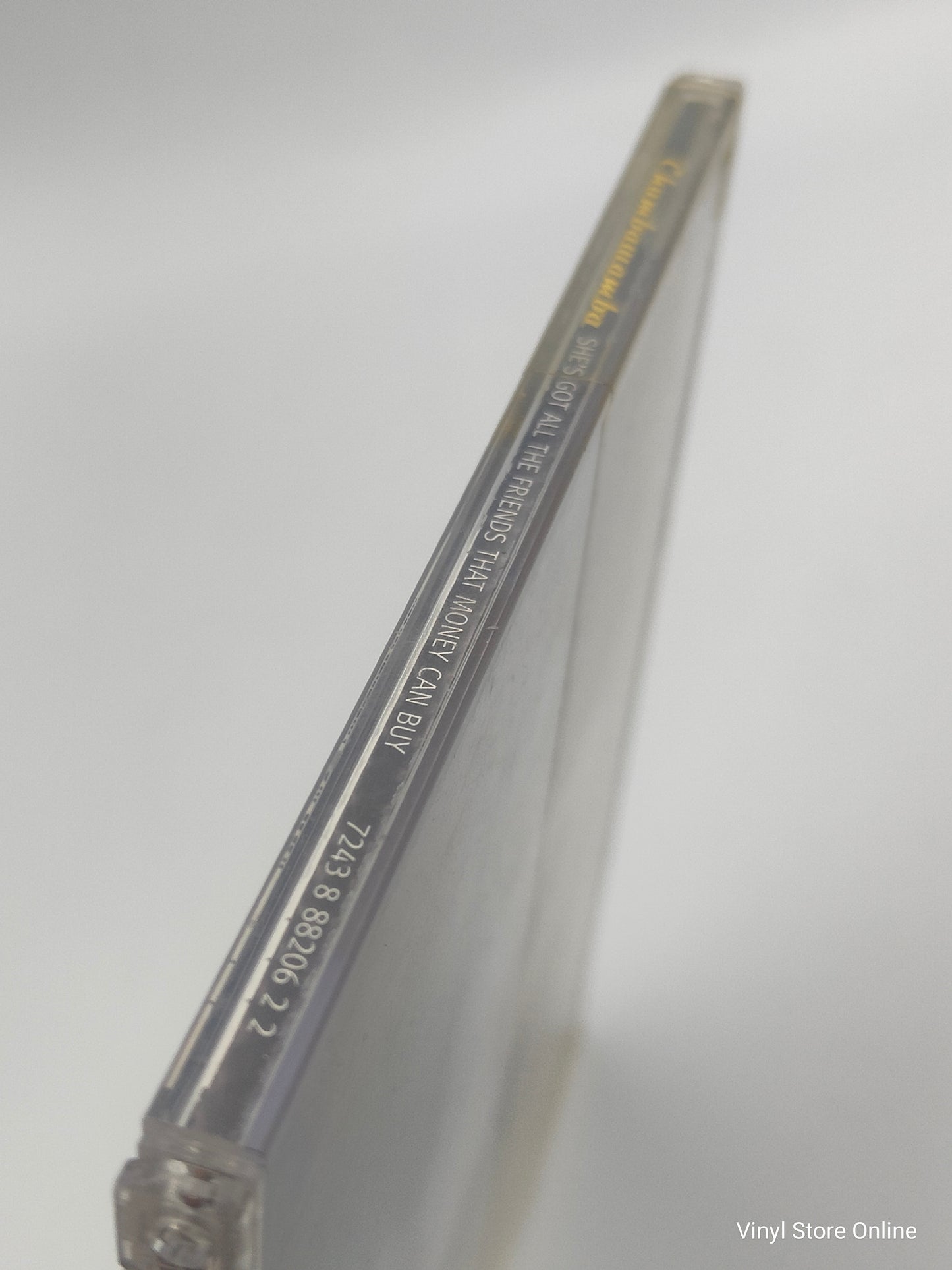 Chumbawamba – She's Got All The Friends That Money Can Buy