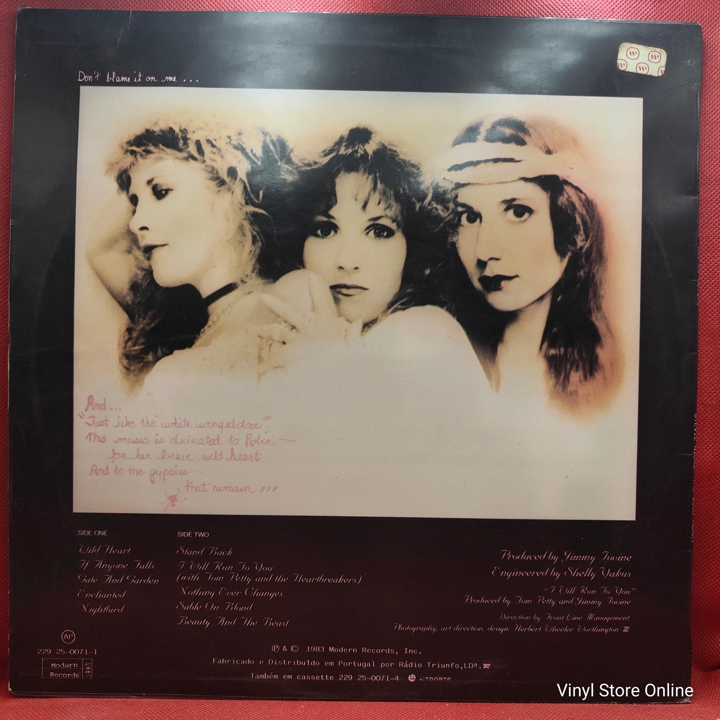 Stevie Nicks – The Wild Heart