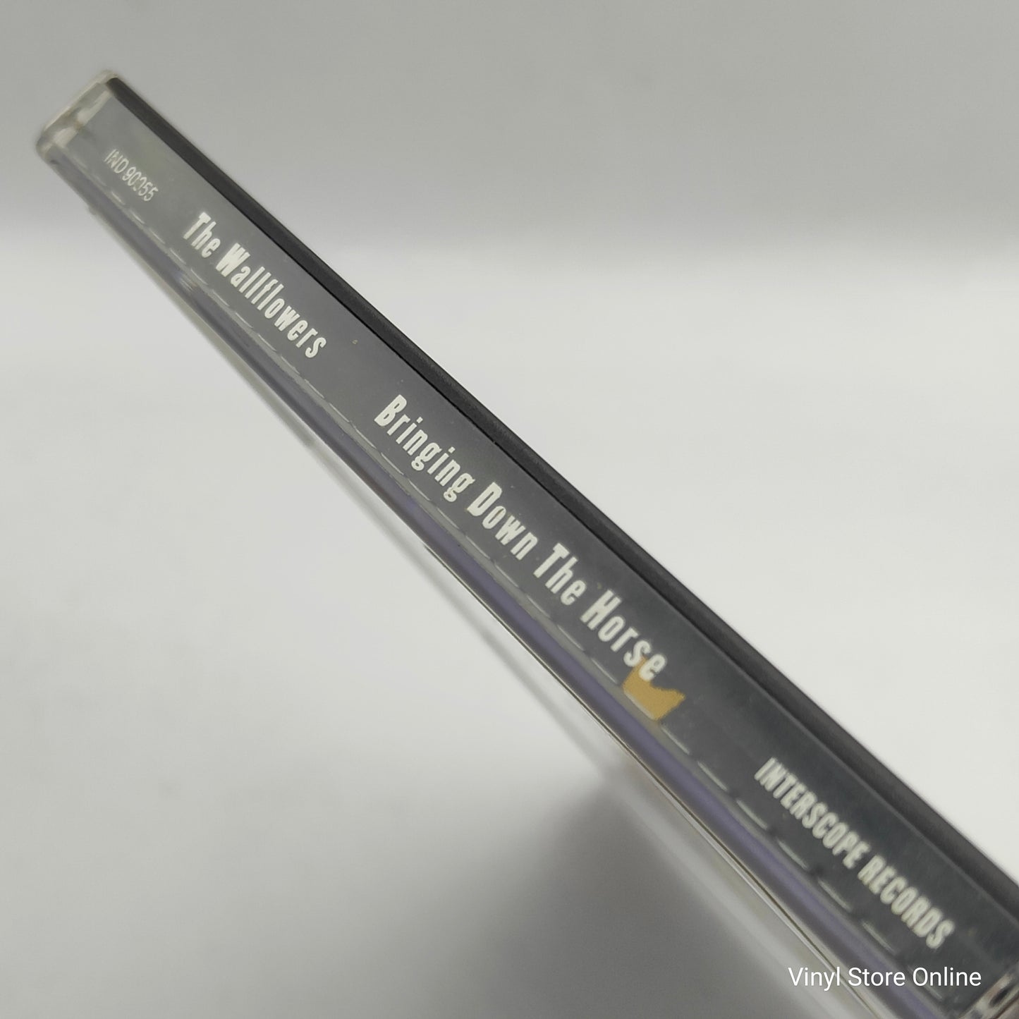 The Wallflowers – Bringing Down The Horse