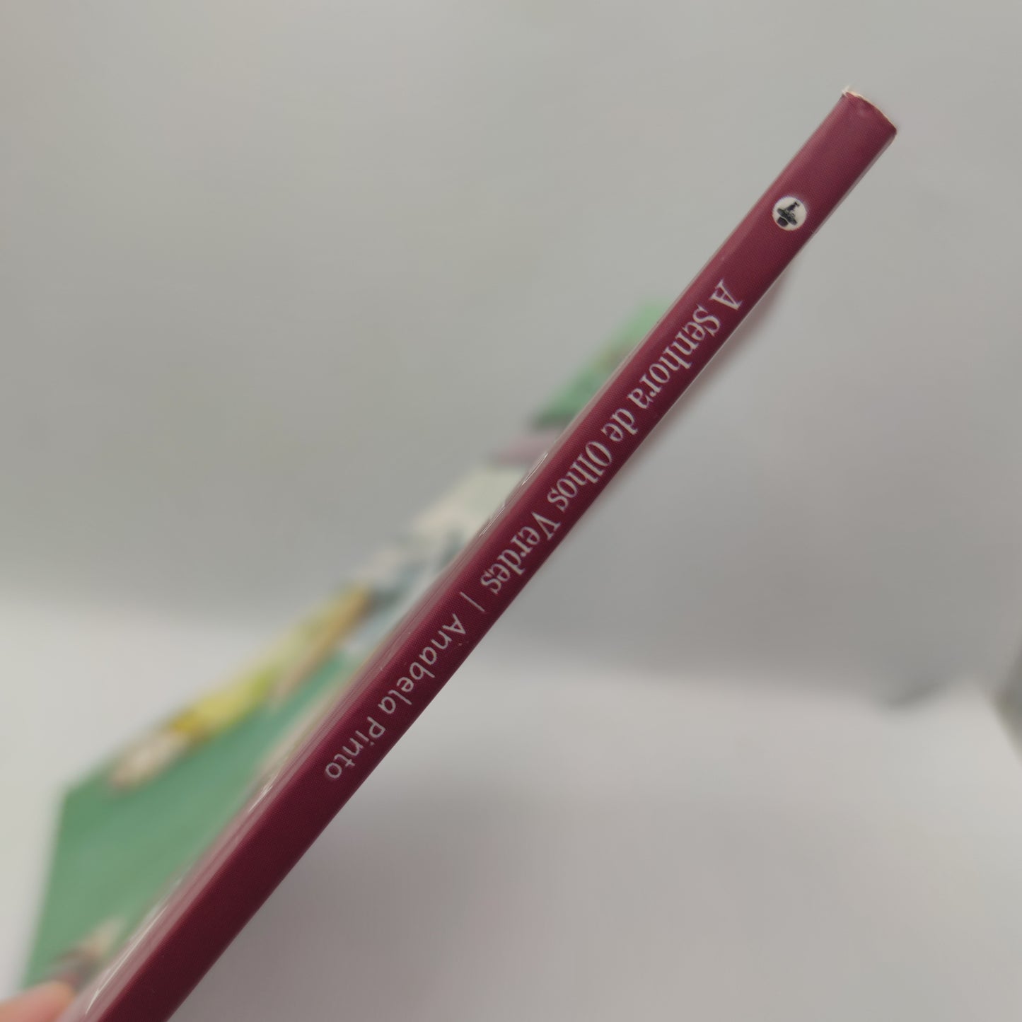 Livro- A sonhadora de olhos verdes- Anabela Pinto
