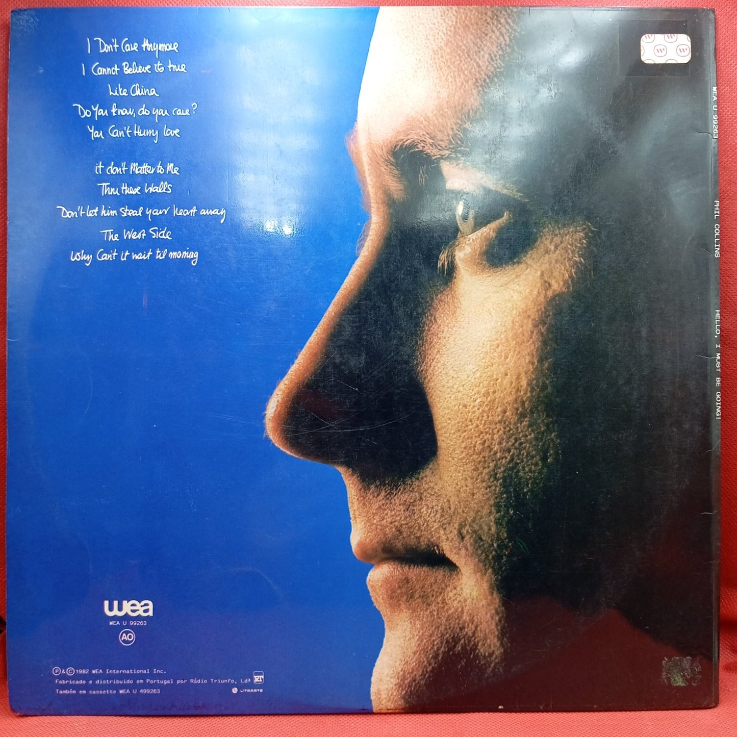 Phil Trainer - Wounded Eagle (LP)