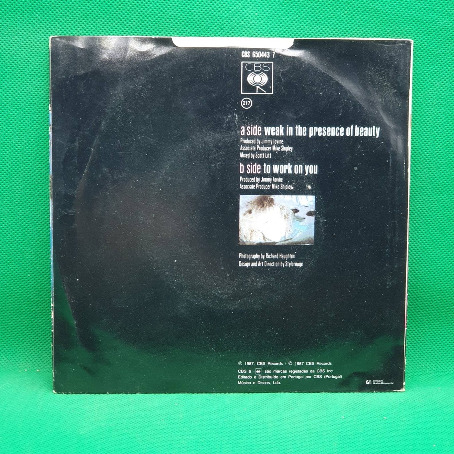 Alison Moyet – Weak In The Presence Of Beauty - Vinyl Store Online