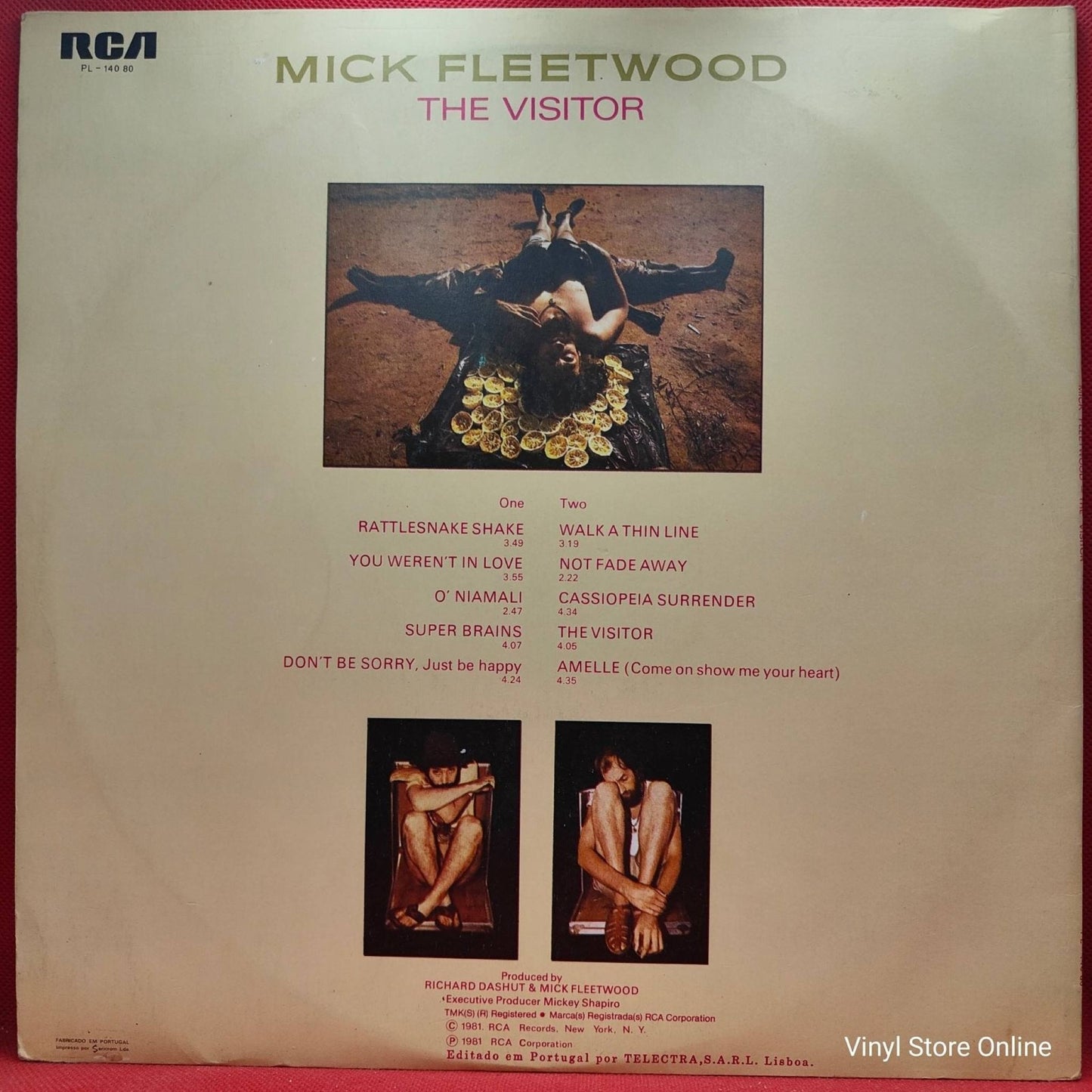Mick Fleetwood – The Visitor - Vinyl Store Online