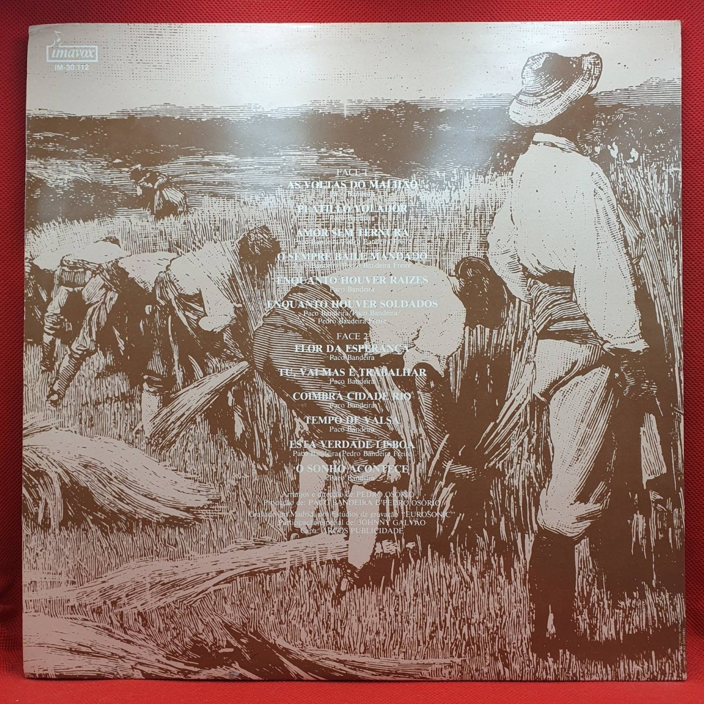 Paco Bandeira – Malhas Malhões E Outras Canções - Vinyl Store Online
